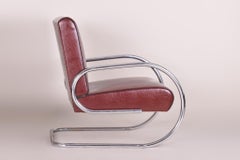 Burgundy Tubular Armchair, New High Quality Leather Upholstery, 1930s
