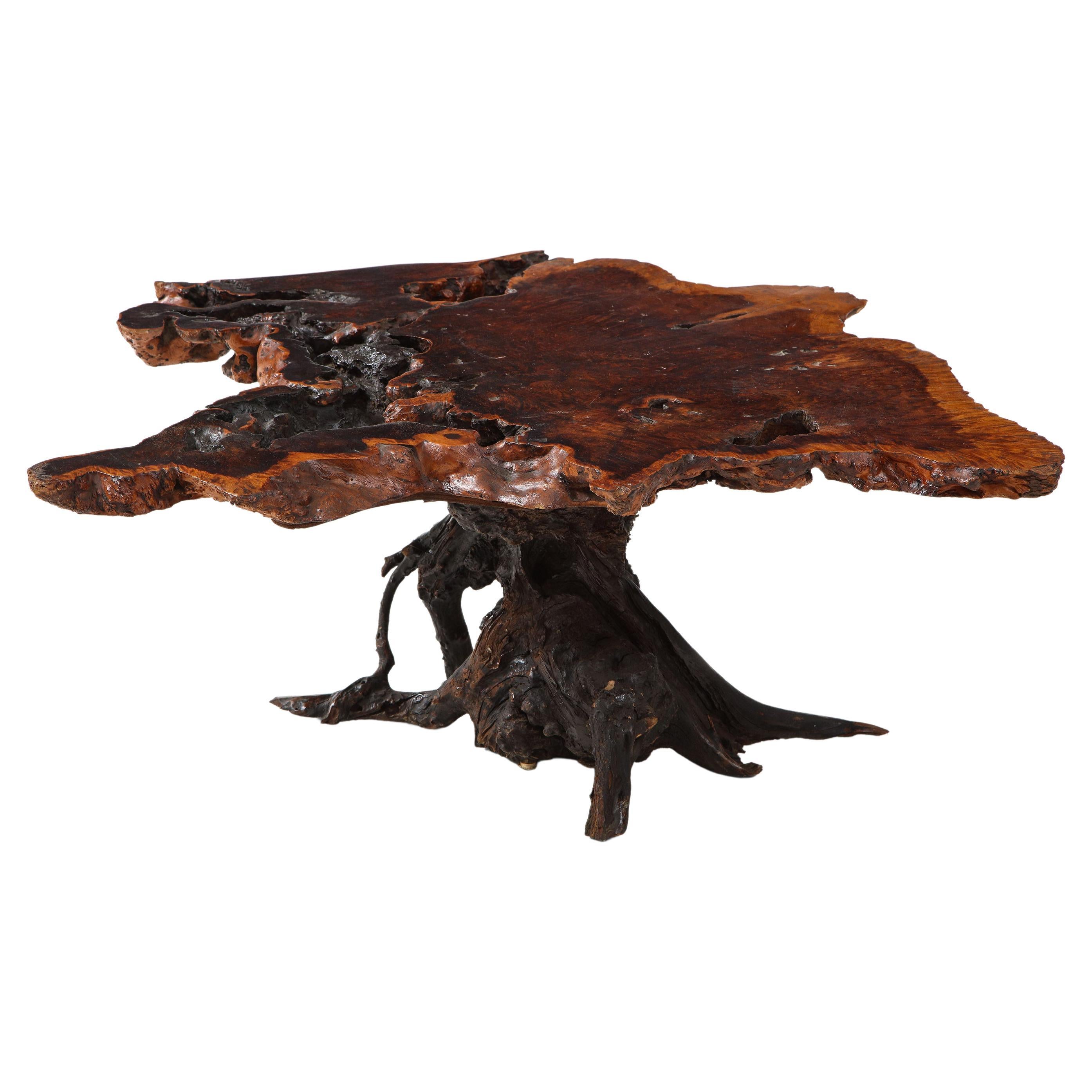 Massive Burl Wood Coffee Table at 1stDibs