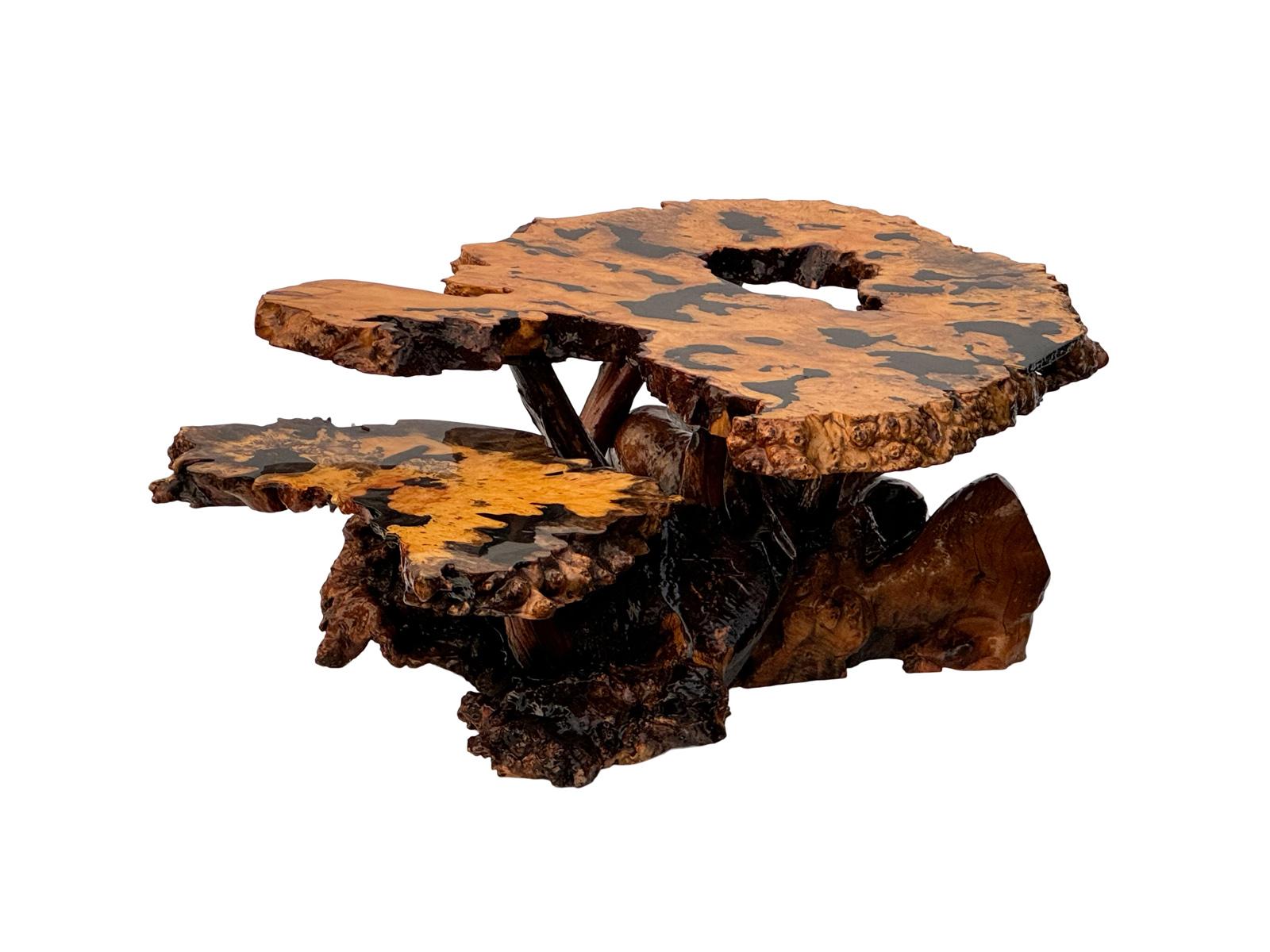 Mid-Century Modern Table basse moderne mi-siècle en broussin laqué à deux niveaux en vente
