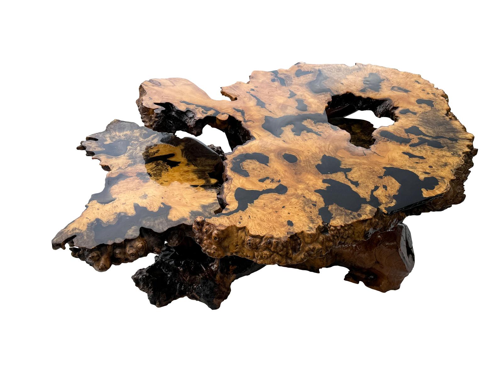 Laqué Table basse moderne mi-siècle en broussin laqué à deux niveaux en vente