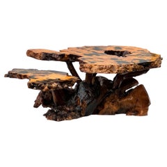 Burl Organic Mid Century Modern Two-Tiered Live Edge Lacquered Coffee Table