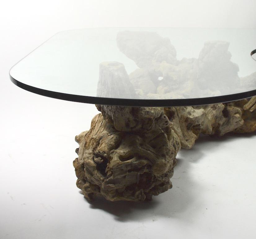 Burl Root Glass Top Coffee Table 3
