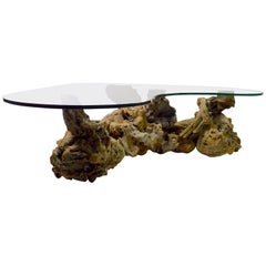 Burl Root Glass Top Coffee Table