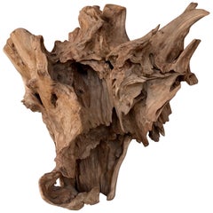 Burl Shield Natural Wood Sculpture