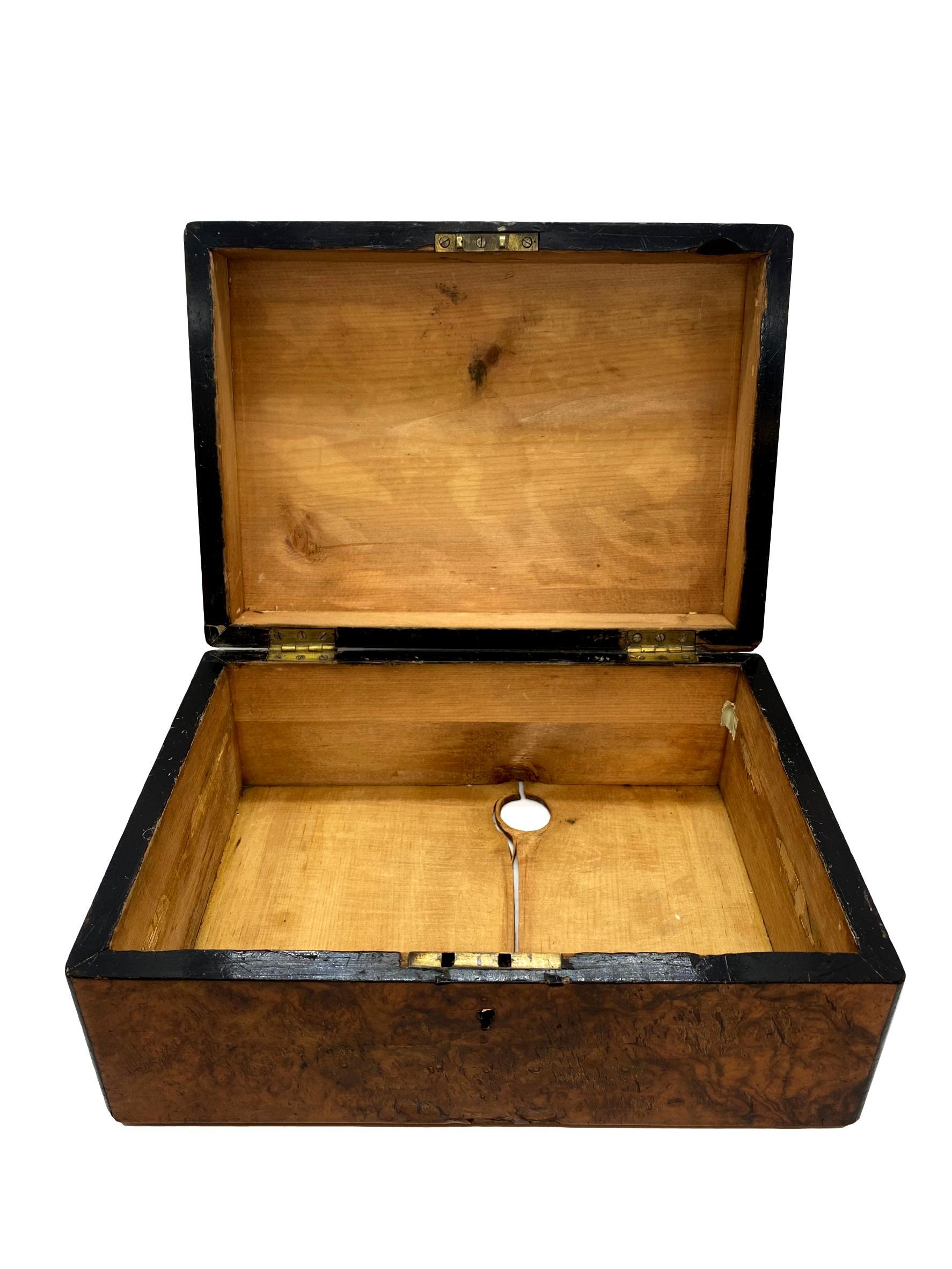 Zigarrenkisten Humidor aus Wurzelnussholz mit Messingtablett, englisch, um 1880 im Angebot 1
