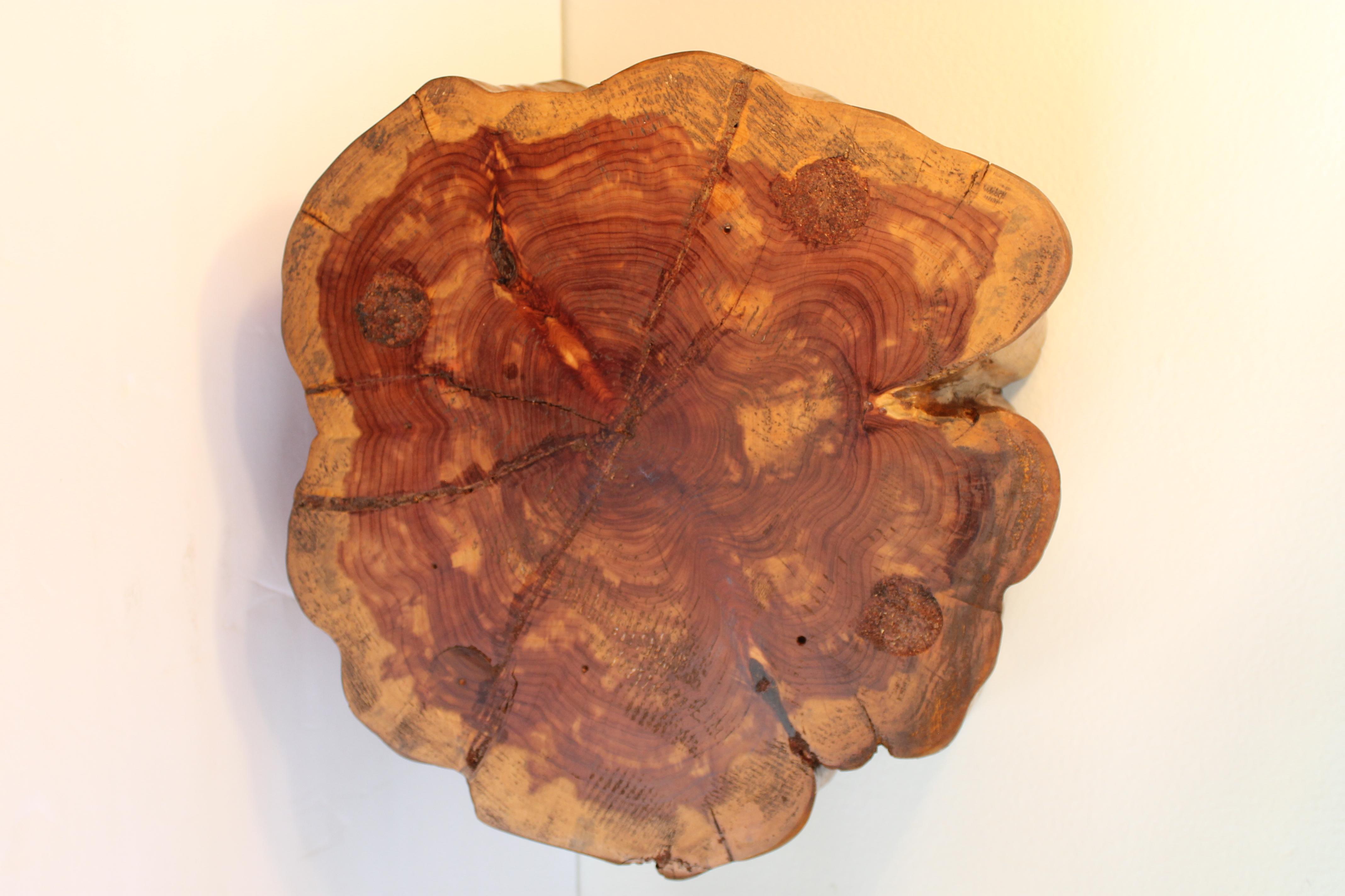 Burl Wood Bowl In Good Condition For Sale In Palm Springs, CA