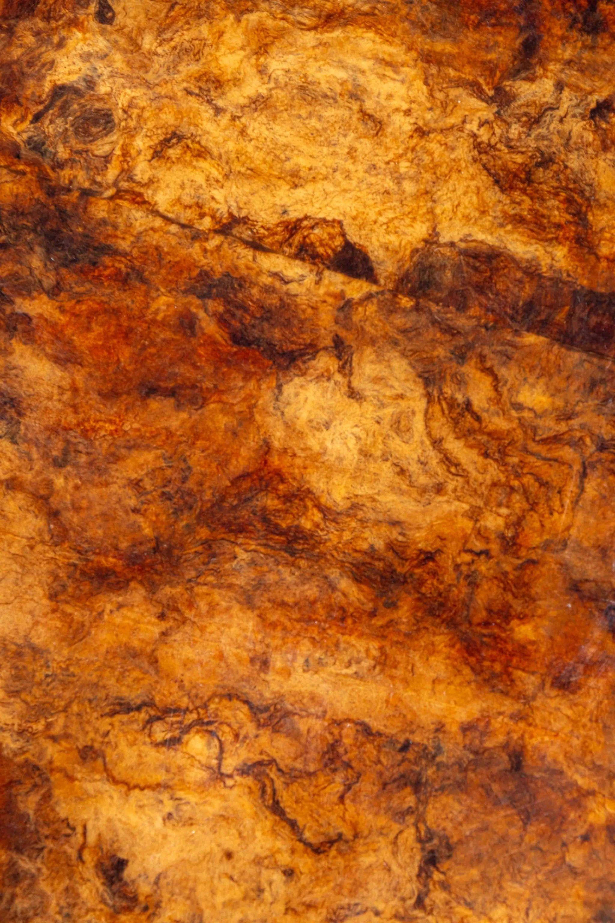 Burl Wood Coffee Table in the style of Aldo Tura 1