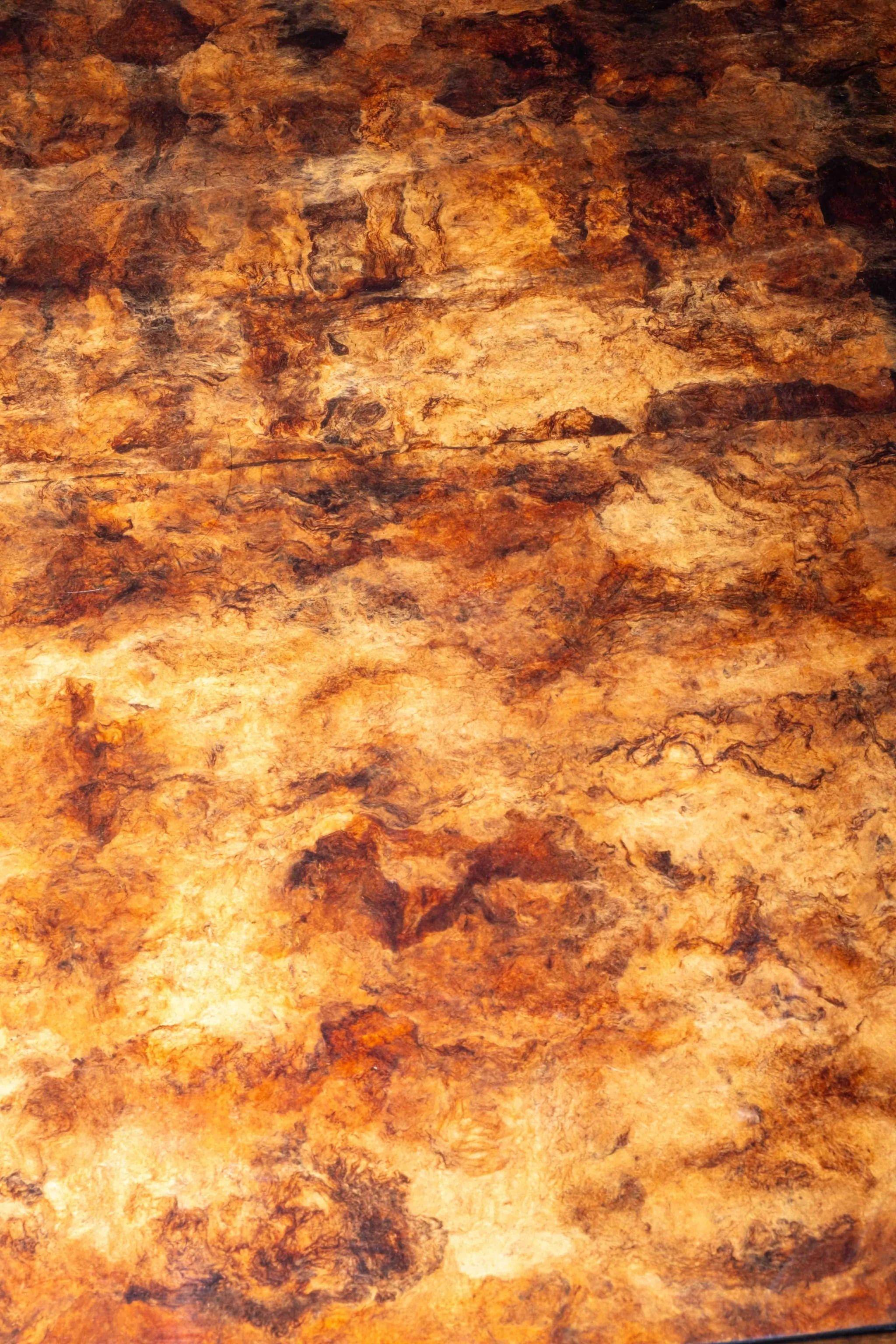Mexican Burl Wood Coffee Table in the style of Aldo Tura