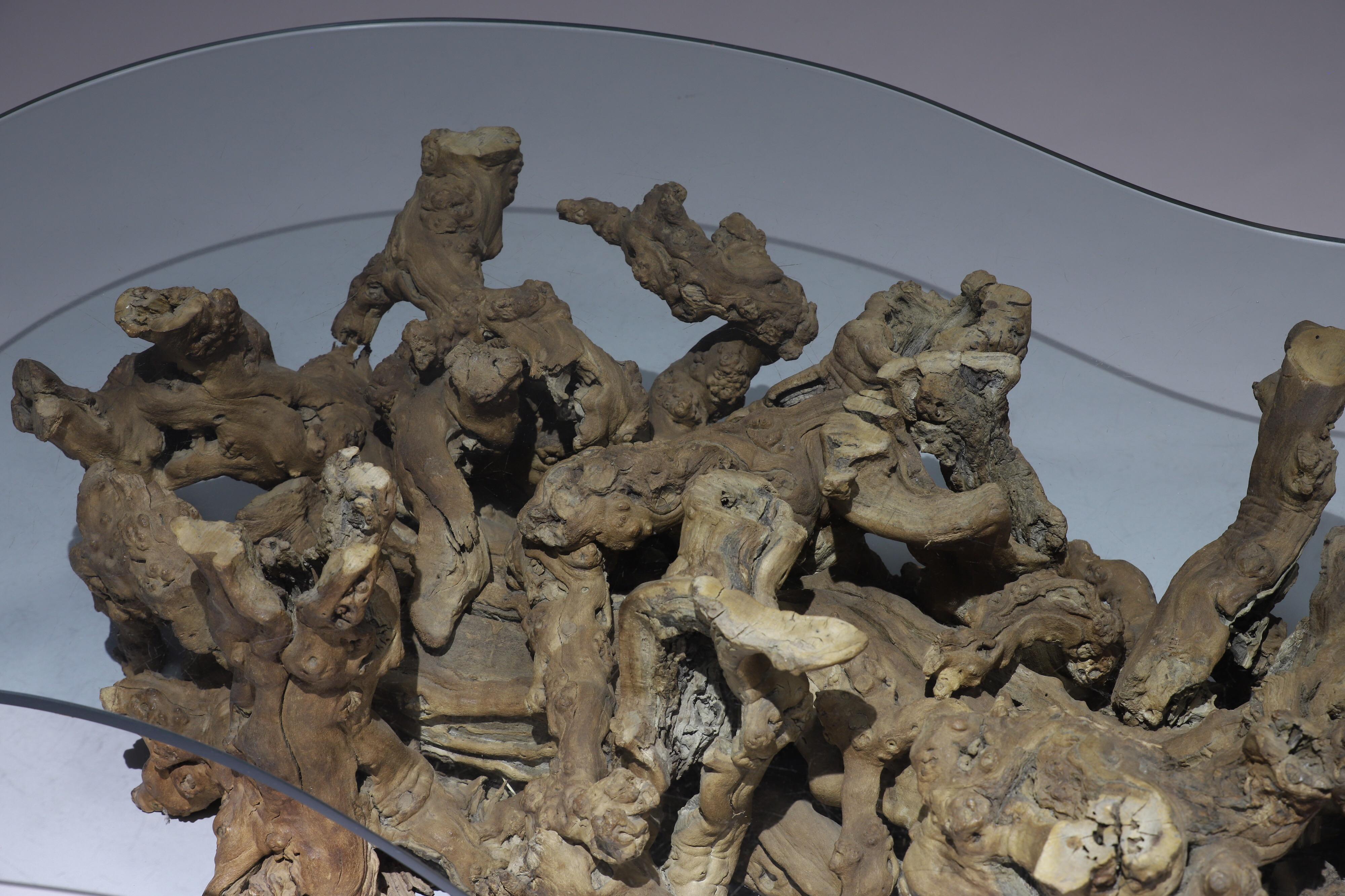 Burl Wood Driftwood Coffee Table 3