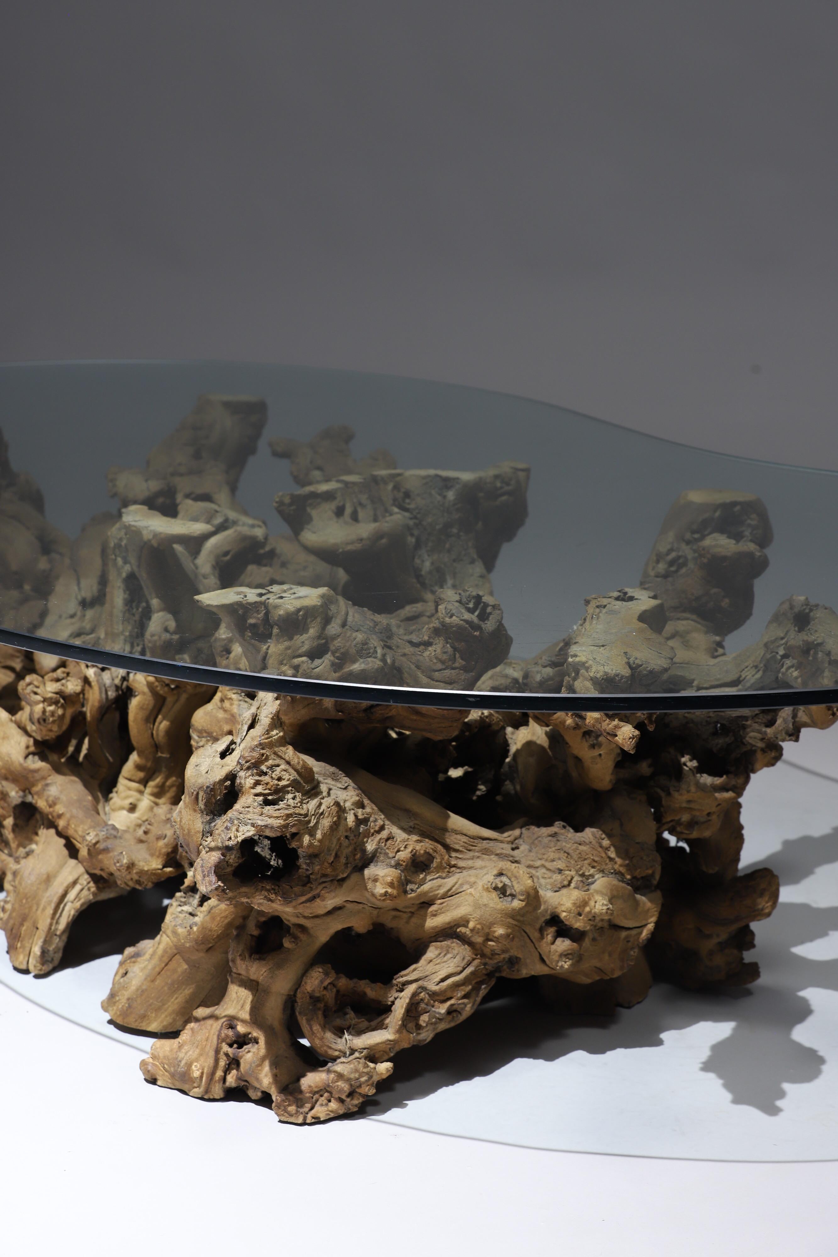 Burl Wood Driftwood Coffee Table 4