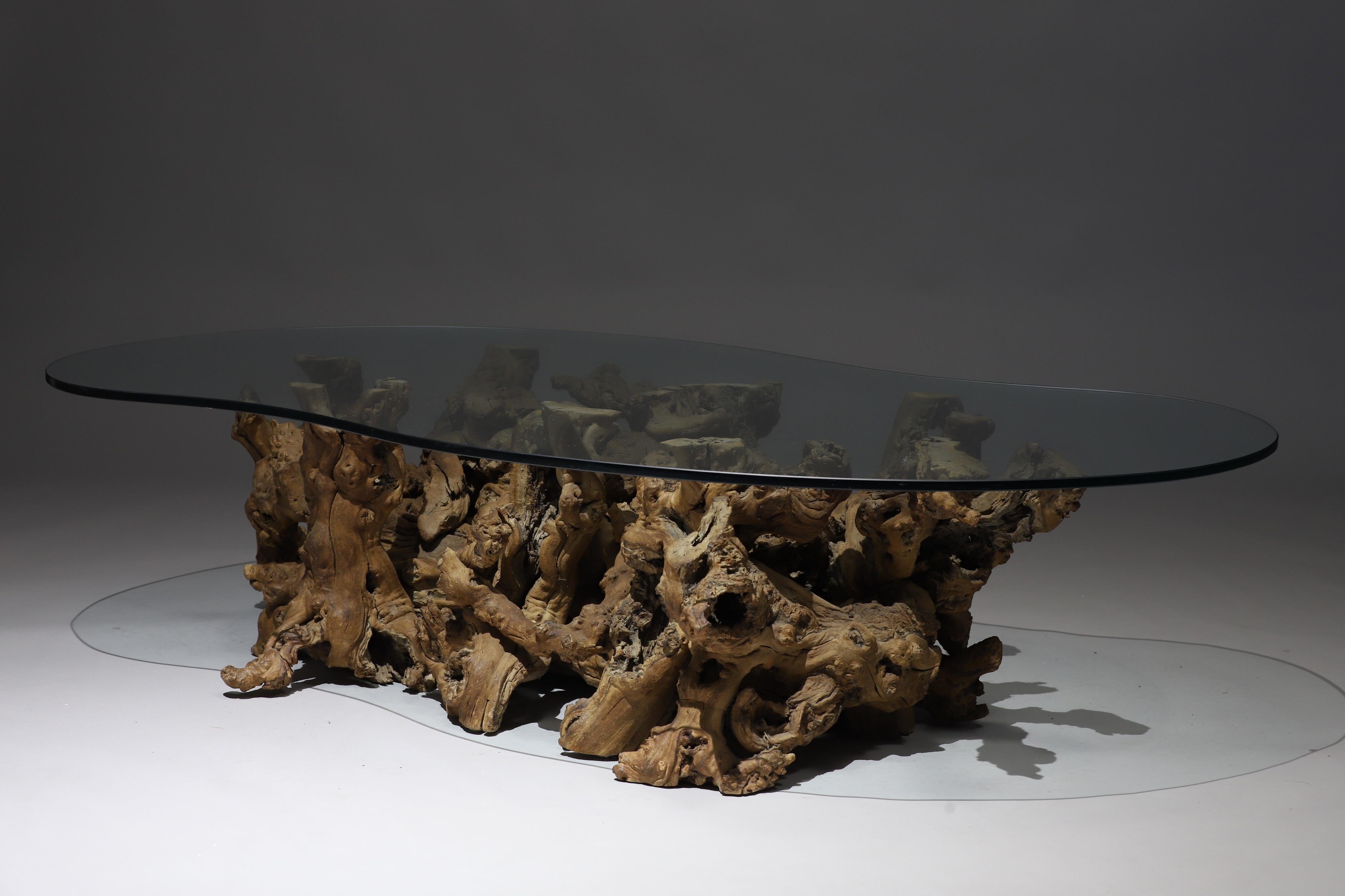 Burl Wood Driftwood Coffee Table 5