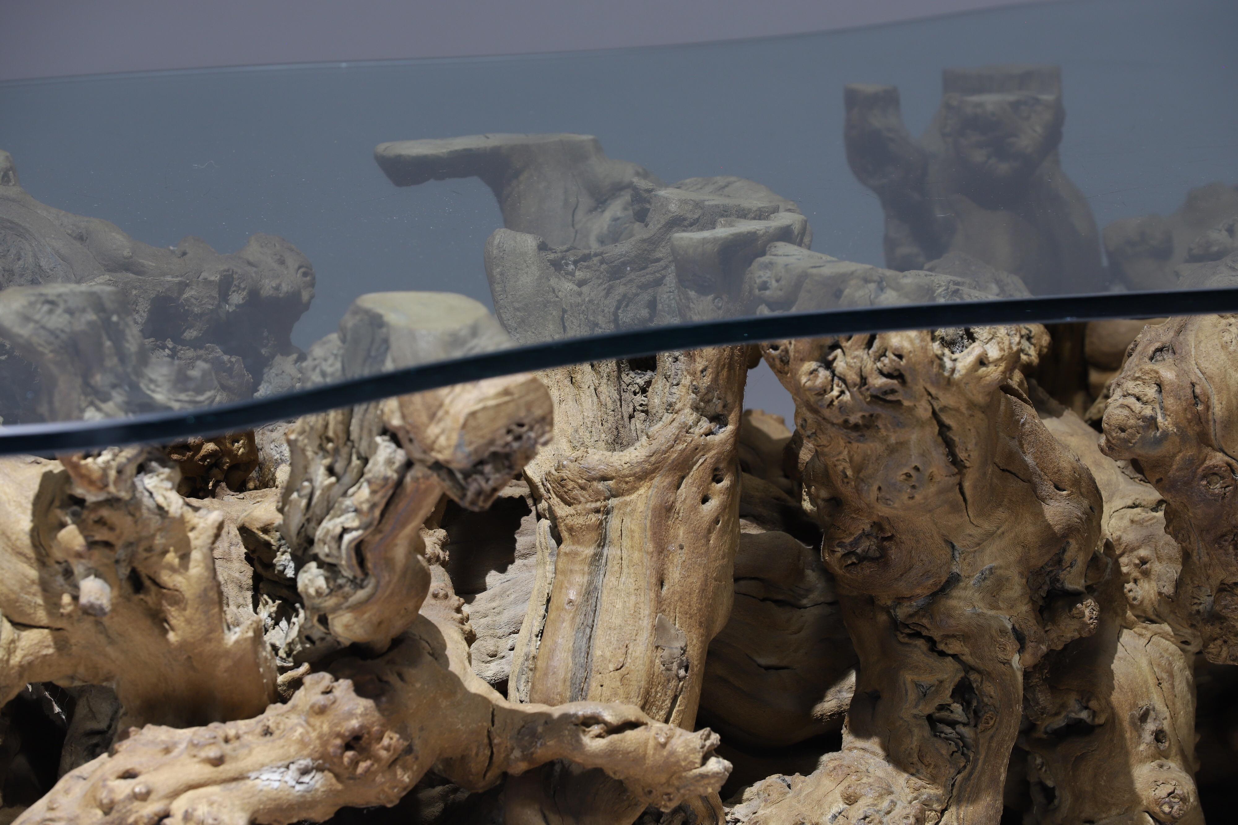 Burl Wood Driftwood Coffee Table 9
