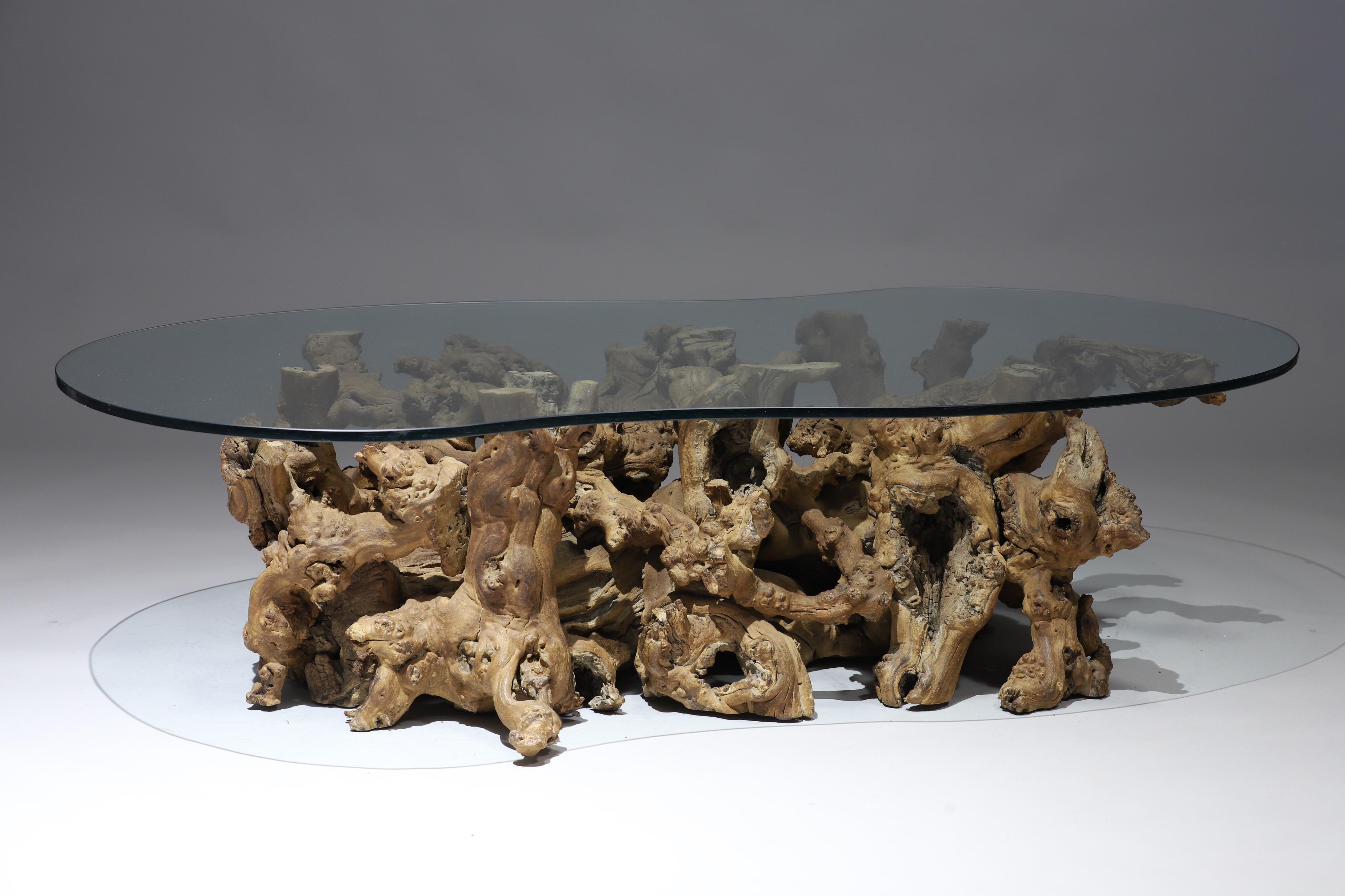 Burl Wood Driftwood Coffee Table 10