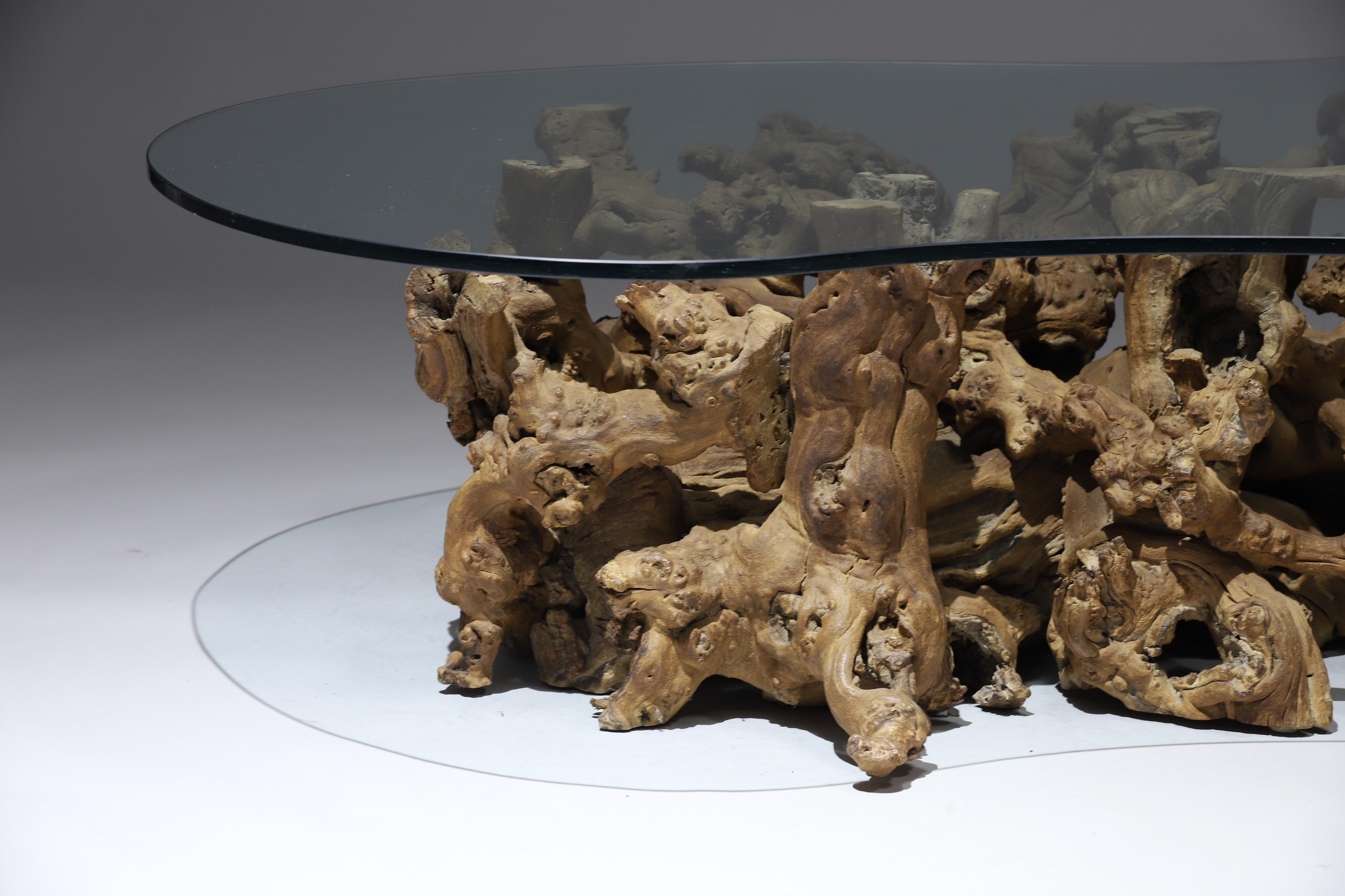 Mid-Century Modern Burl Wood Driftwood Coffee Table