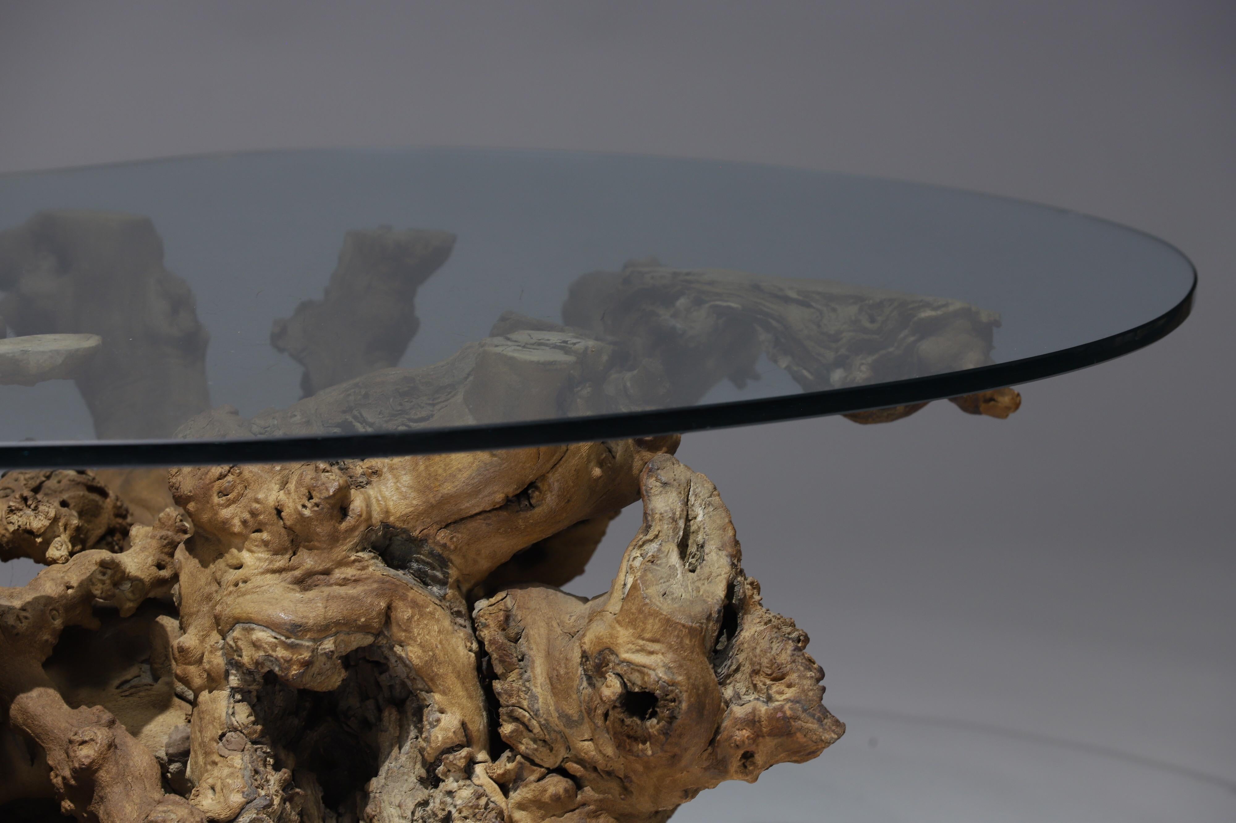 American Burl Wood Driftwood Coffee Table
