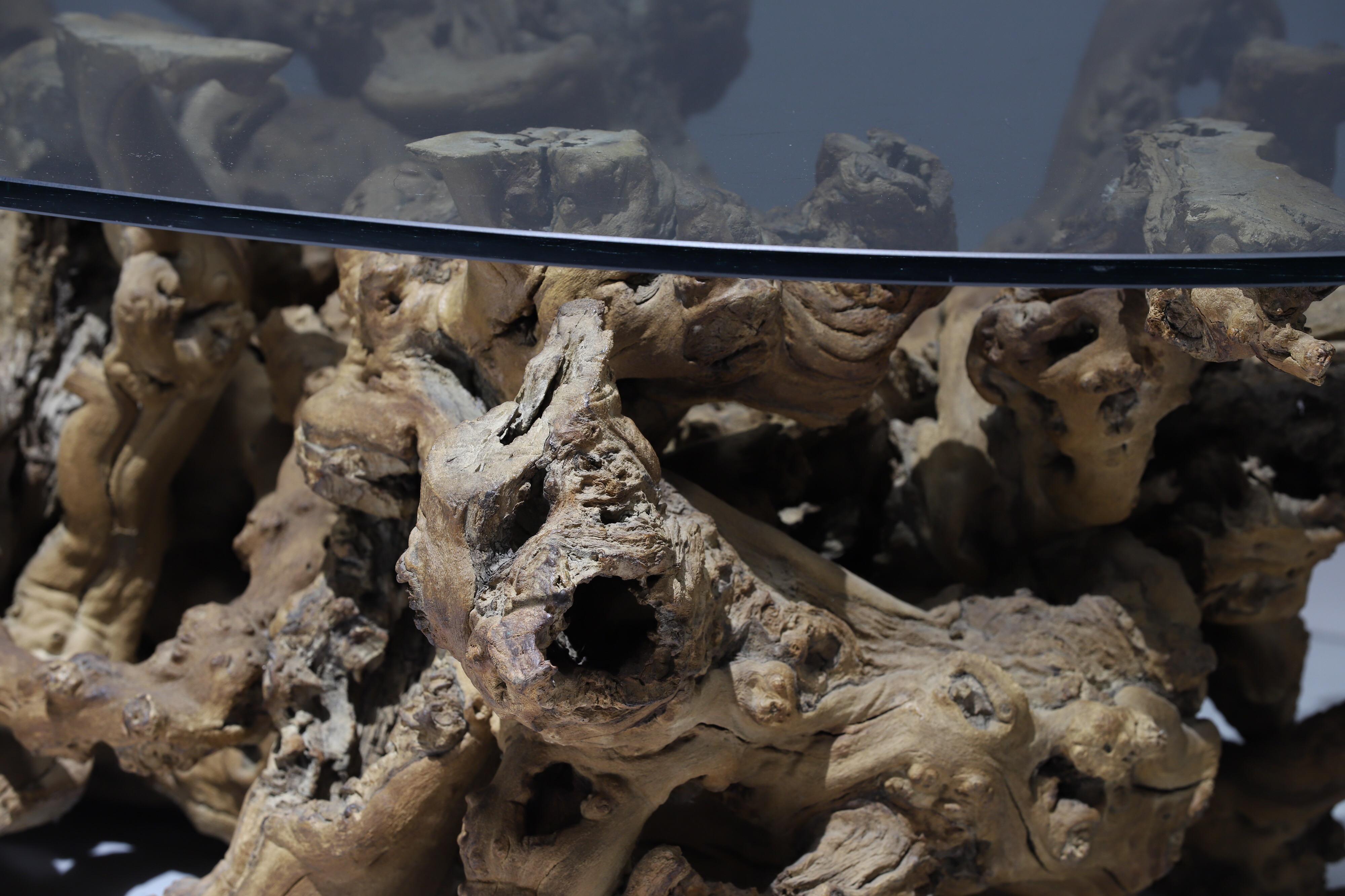 Burl Wood Driftwood Coffee Table In Good Condition In Oklahoma City, OK