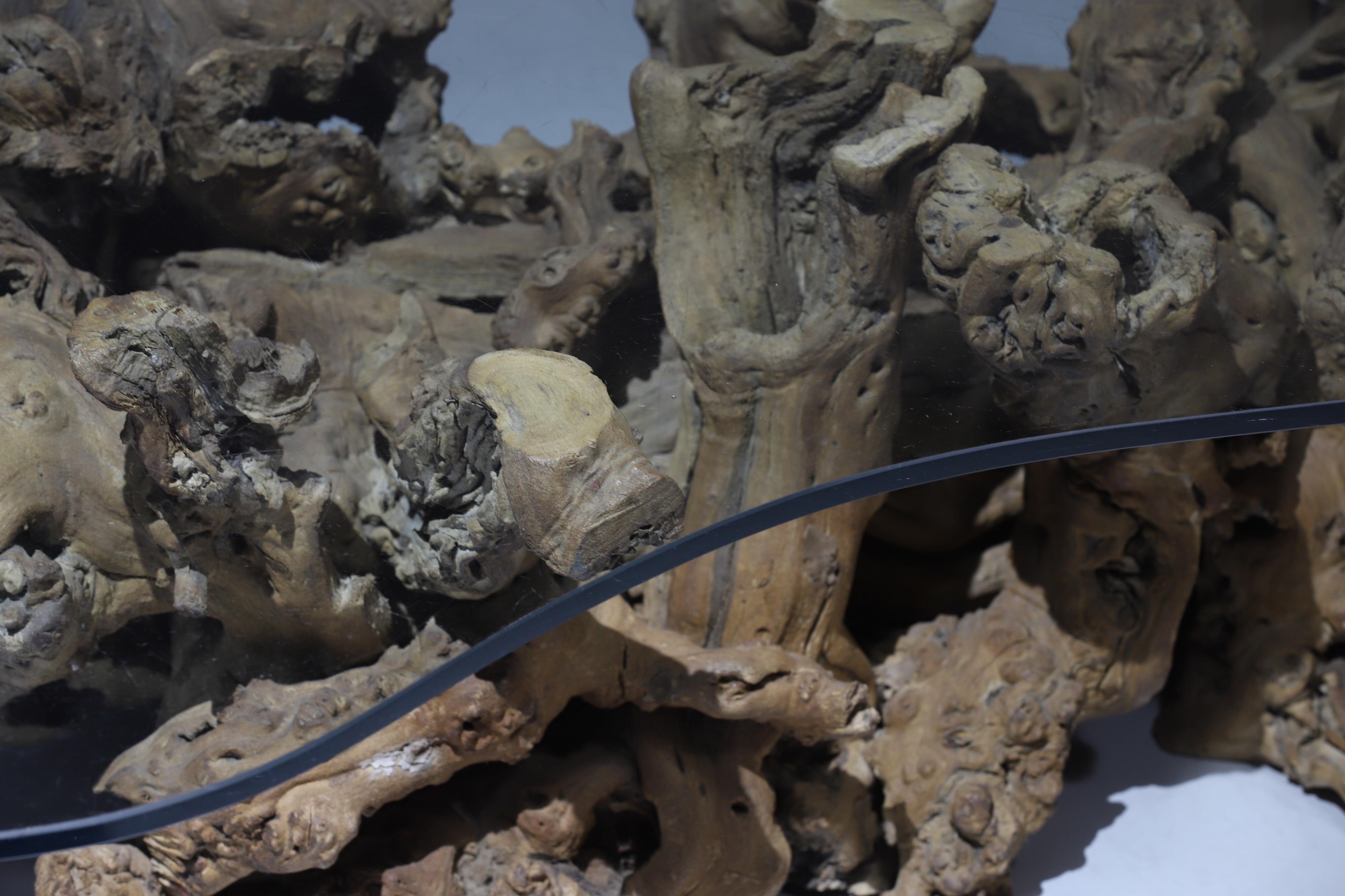 Late 20th Century Burl Wood Driftwood Coffee Table