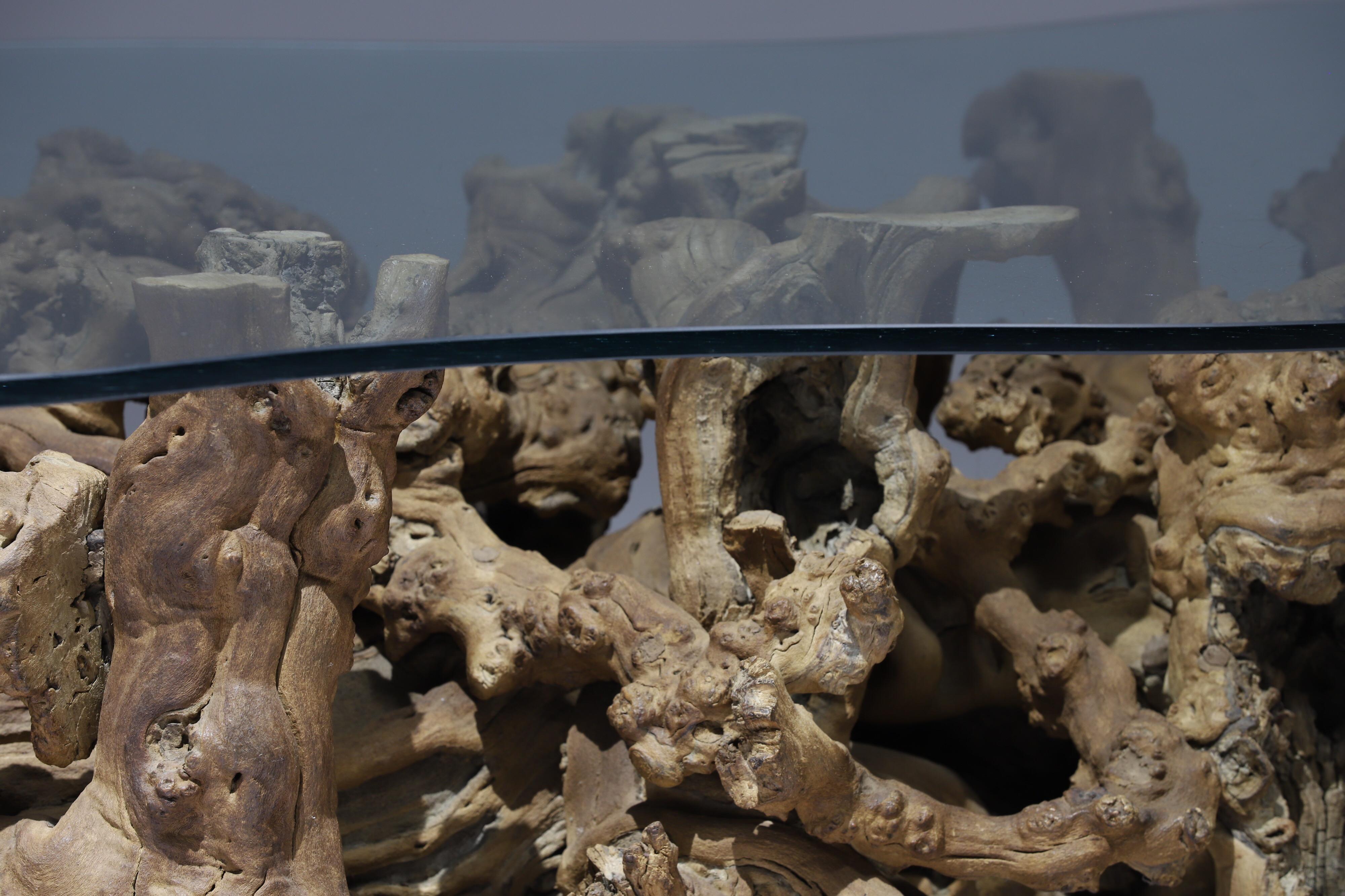 Glass Burl Wood Driftwood Coffee Table