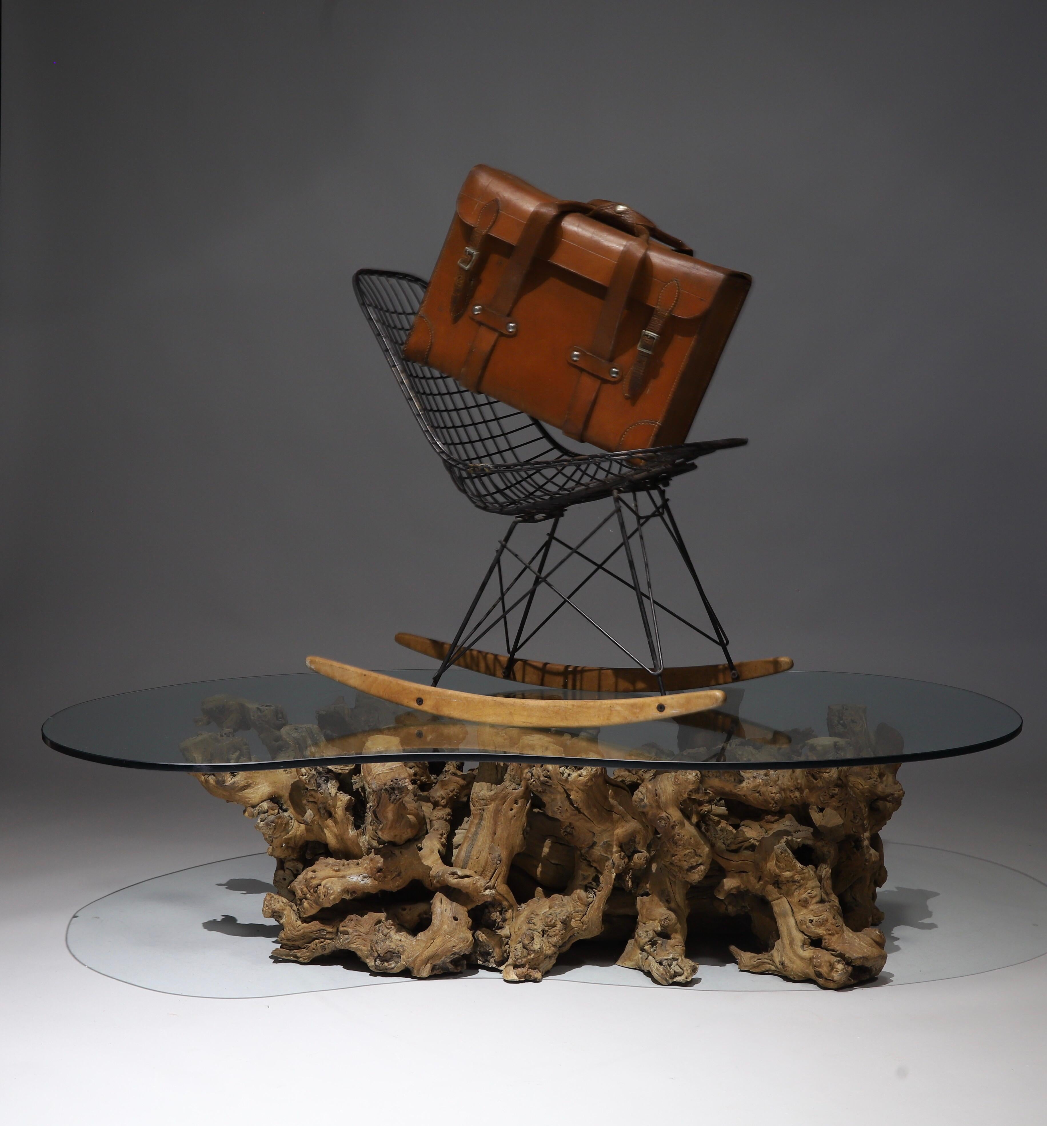 Burl Wood Driftwood Coffee Table 1