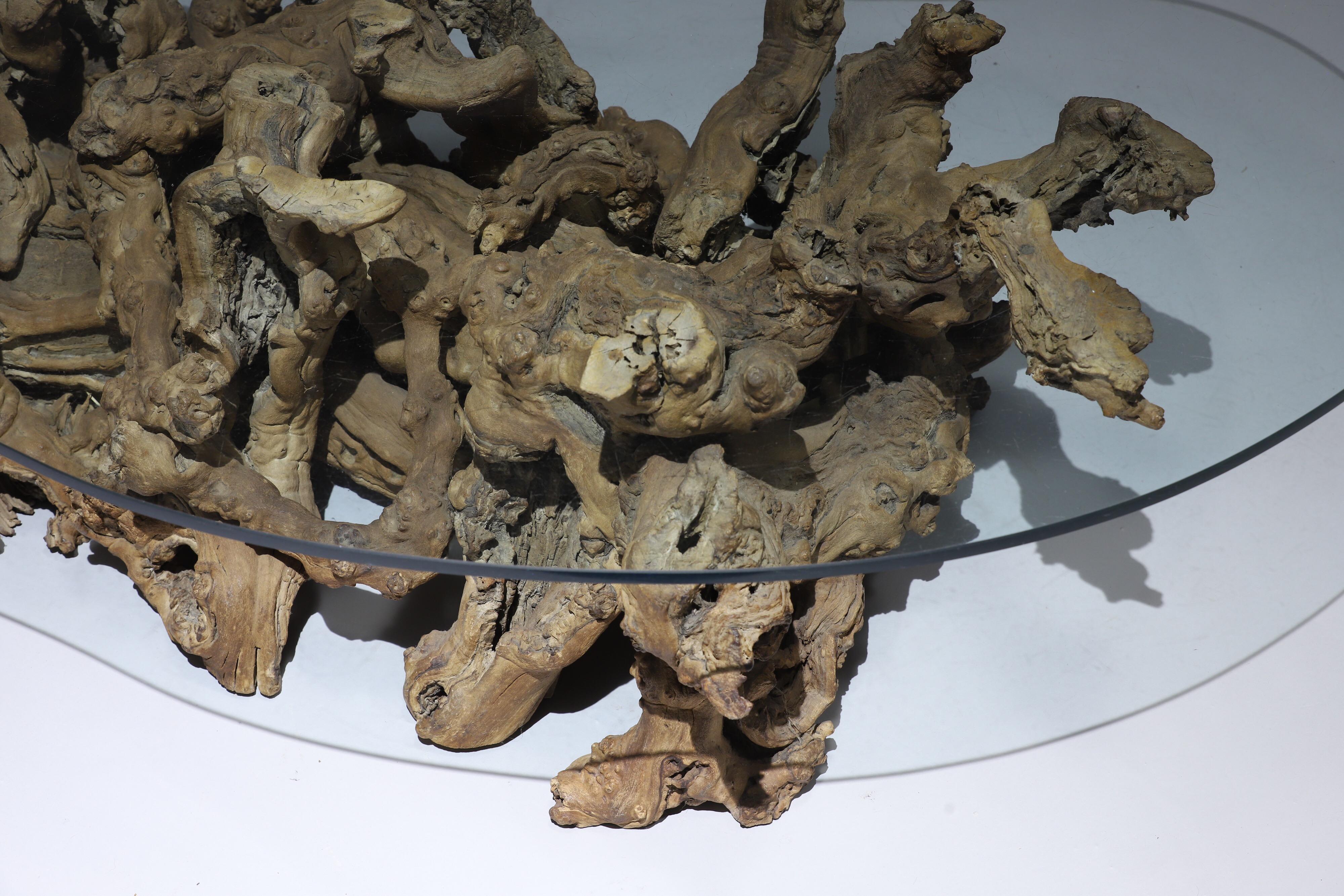 Burl Wood Driftwood Coffee Table 2
