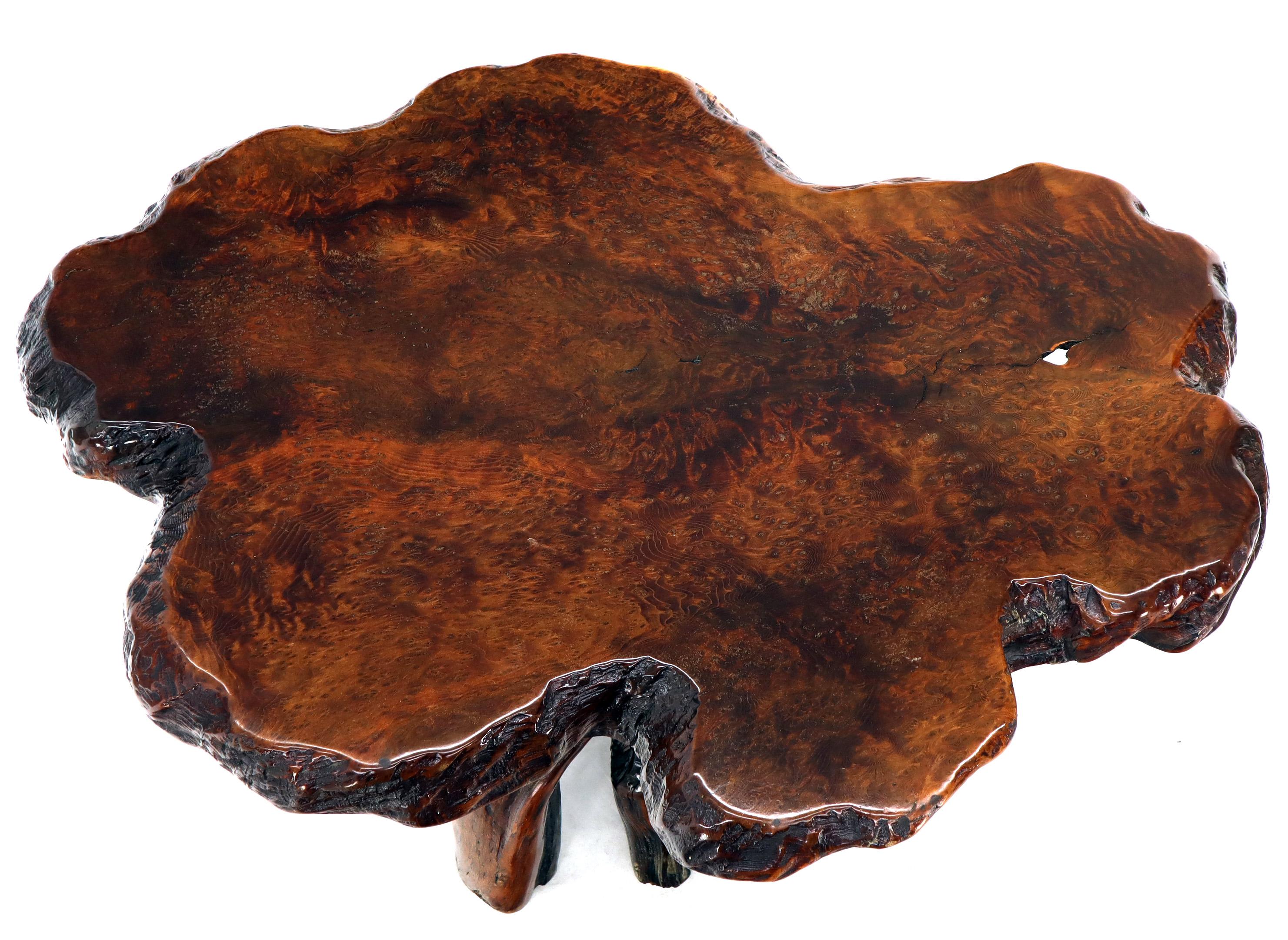Gorgeous amber tone vivid pattern burl wood natural top center table guerdon.