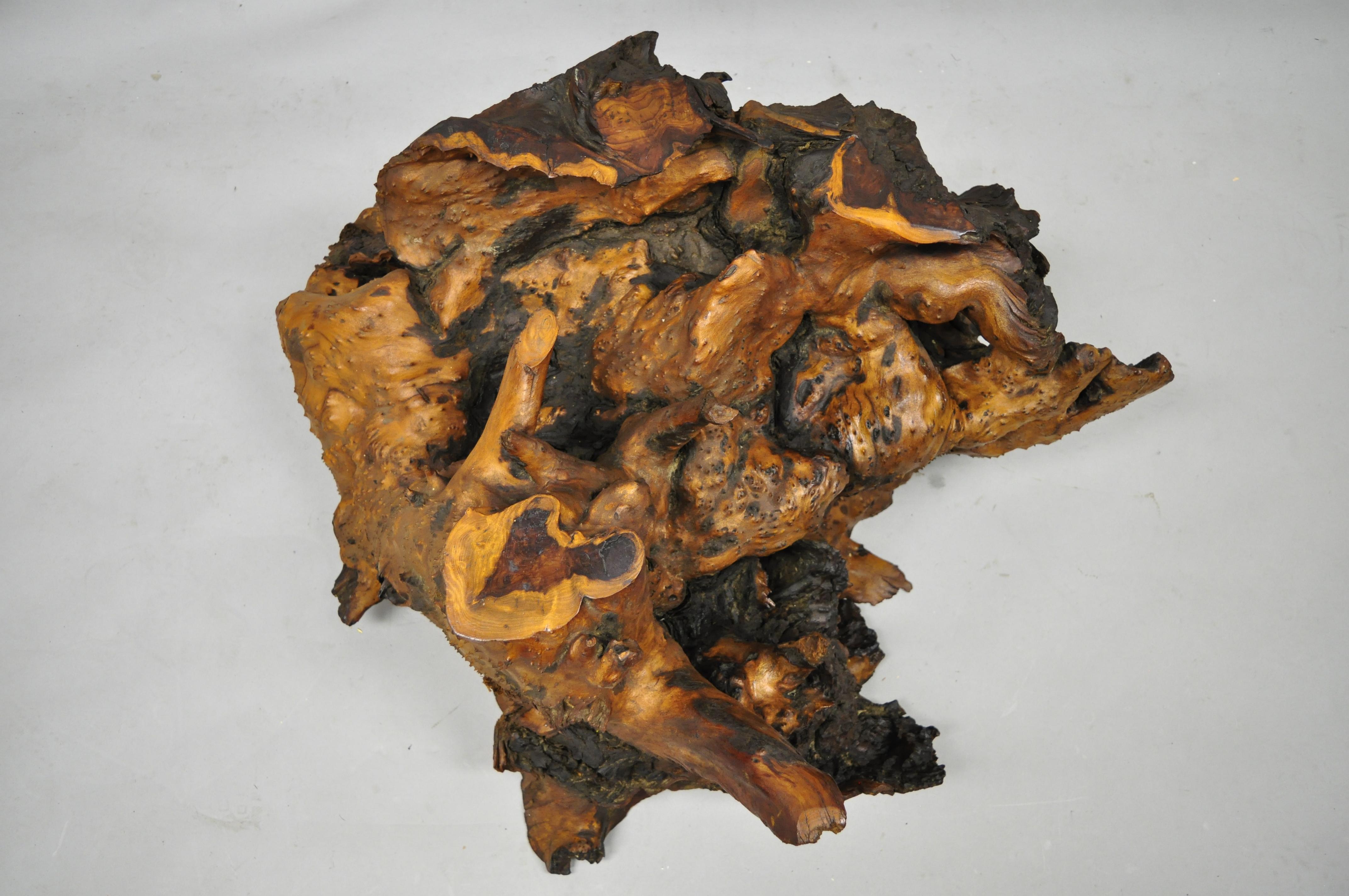 Burl Wood Organic Free Form Live Edge Driftwood Coffee Table Round Glass Top 1