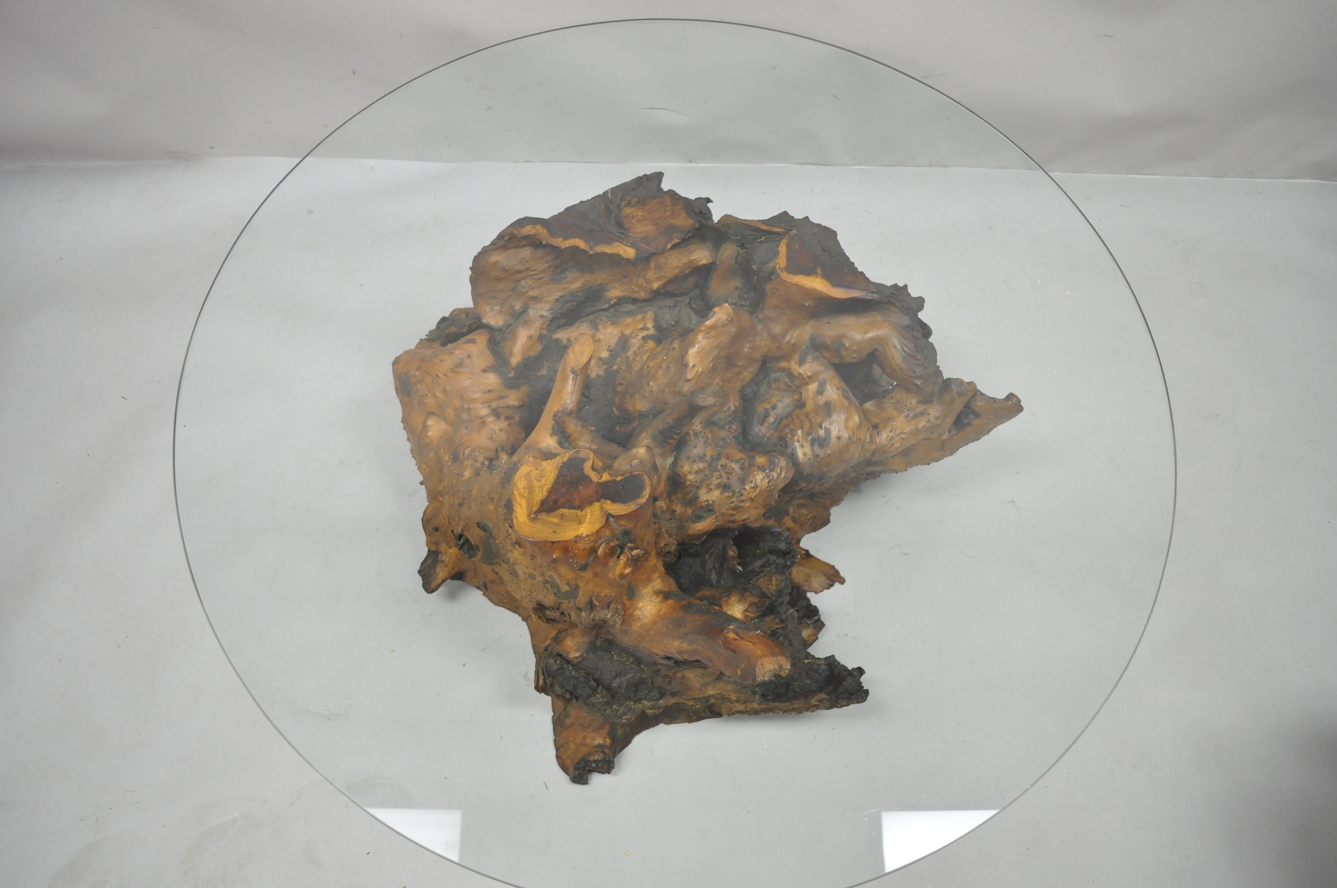 North American Burl Wood Organic Free Form Live Edge Driftwood Coffee Table Round Glass Top