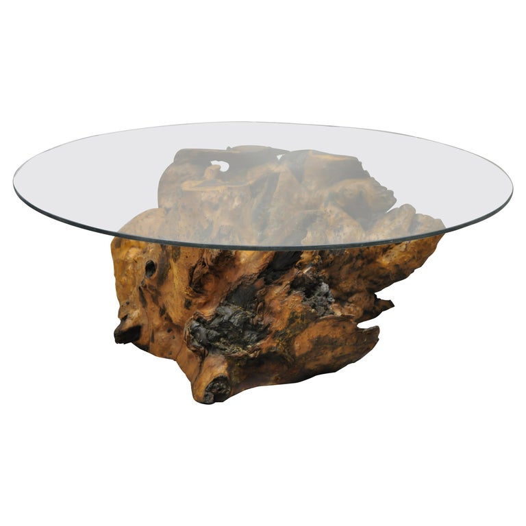 Burl Wood Organic Free Form Live Edge, Rounded Edge Glass Coffee Table