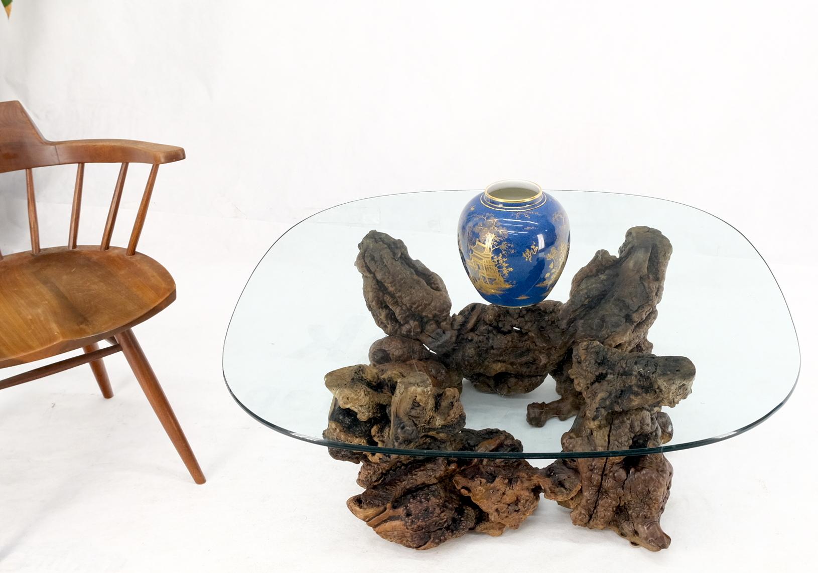 Varnished Burl Wood Root Organic Base Large Rounded Square Glass Top Coffee Center Table For Sale