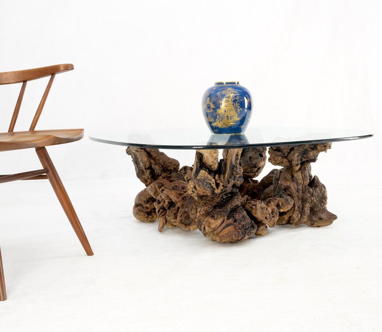 20th Century Burl Wood Root Organic Base Large Rounded Square Glass Top Coffee Center Table For Sale