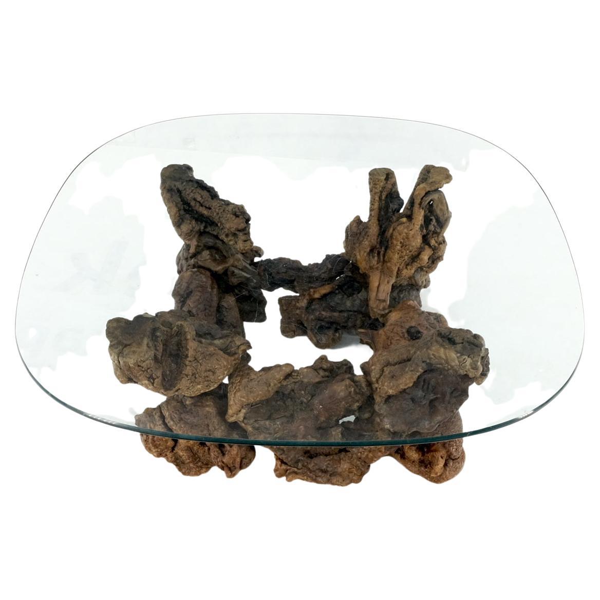Tavolo da caffè da centro con base organica in radica di Wood Wood con piano quadrato arrotondato e di grandi dimensioni in vetro in vendita