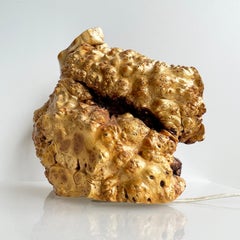 Burl Wood Sculptural Table Lamp, 1960's