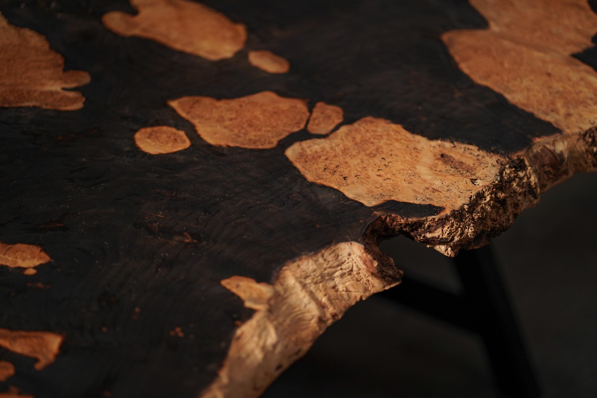 Belgian Burl Wood Slab Table For Sale