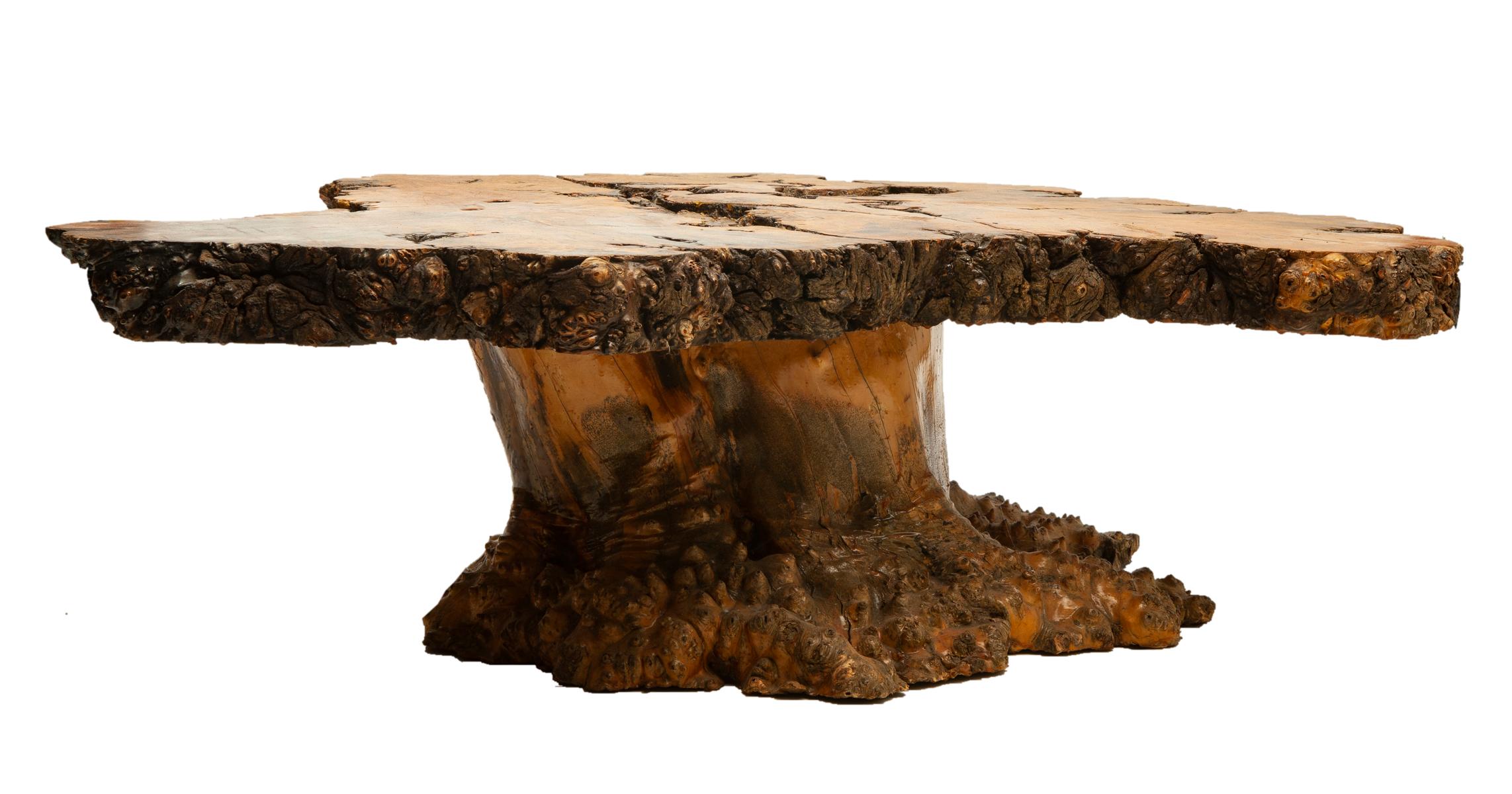 Burl Wood Table 5