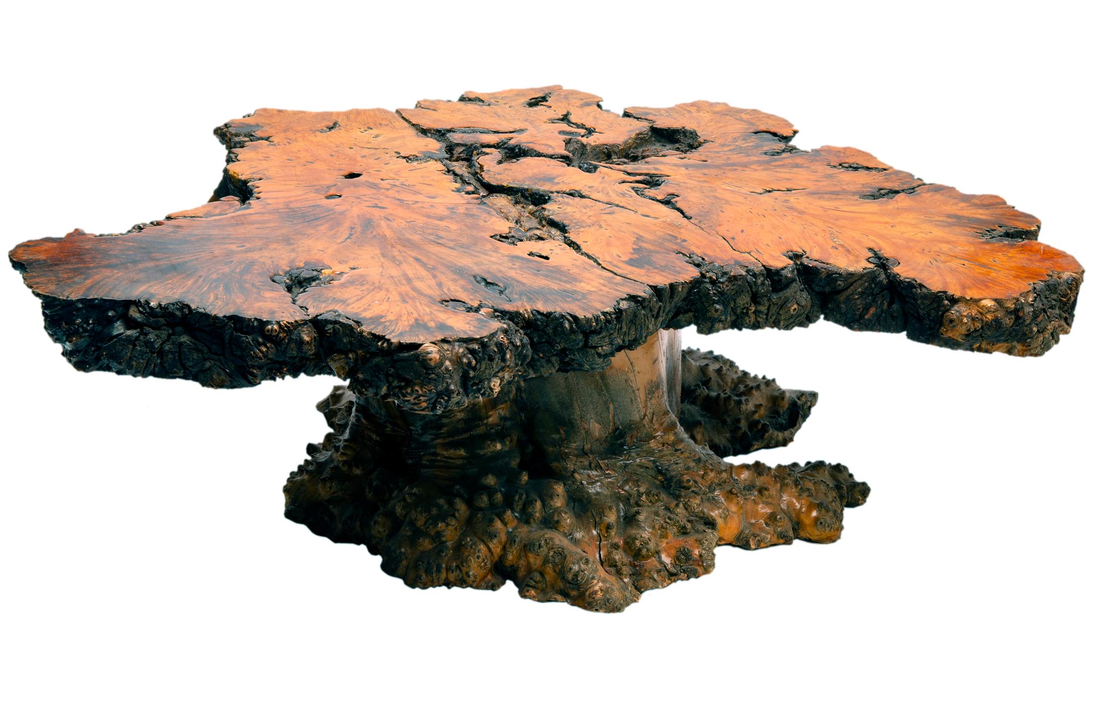 Burl wood is the product of irregular tree grain pattern growth. Such irregularities are caused due to an illness, a fungus infection, or natural injury. The tree’s grain will grow abnormally, twisting and interlocking with itself. During this
