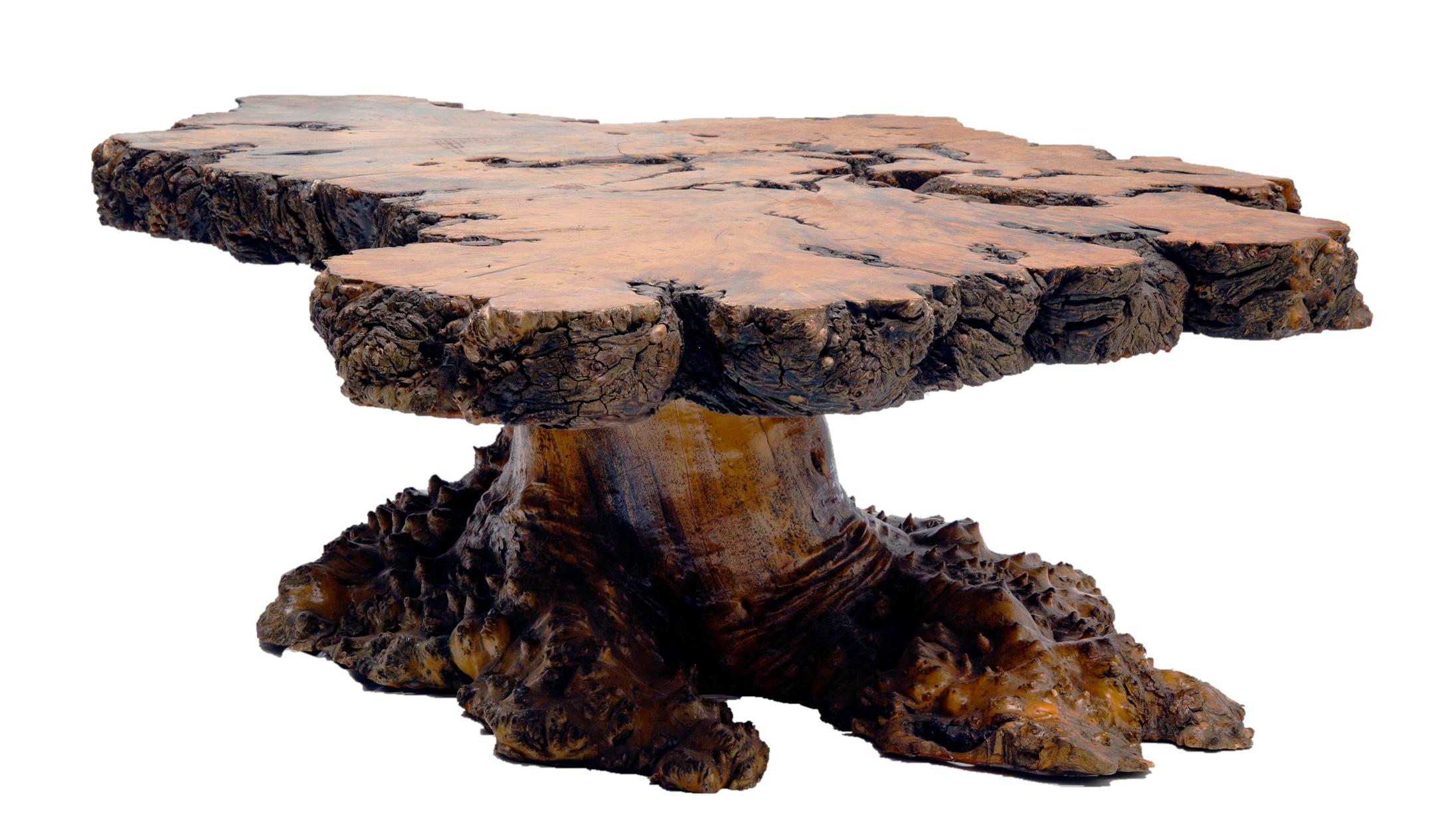 Organic Modern Burl Wood Table
