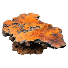 Burl Wood Table