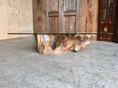 Burl Wood Tree Trunk Coffee Table