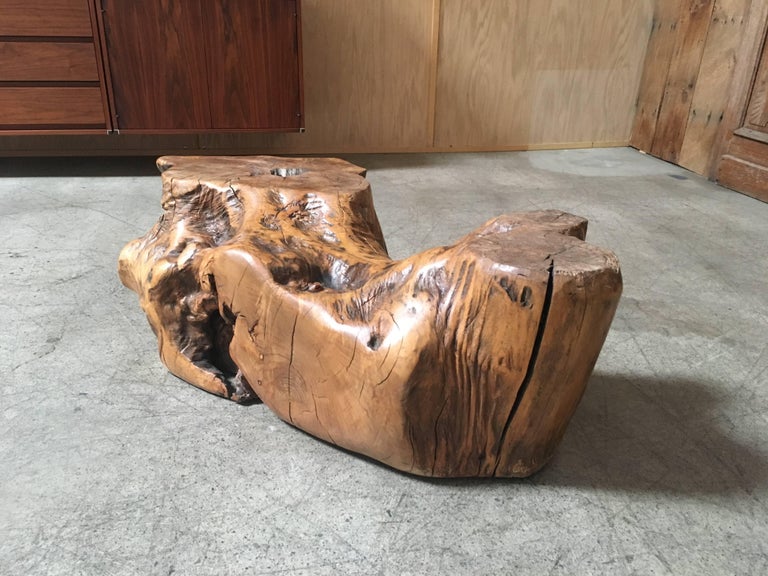 Burl Wood Tree Trunk Coffee Table At 1stdibs Organic Modern Burl Wood Tree Trunk Coffee Table For