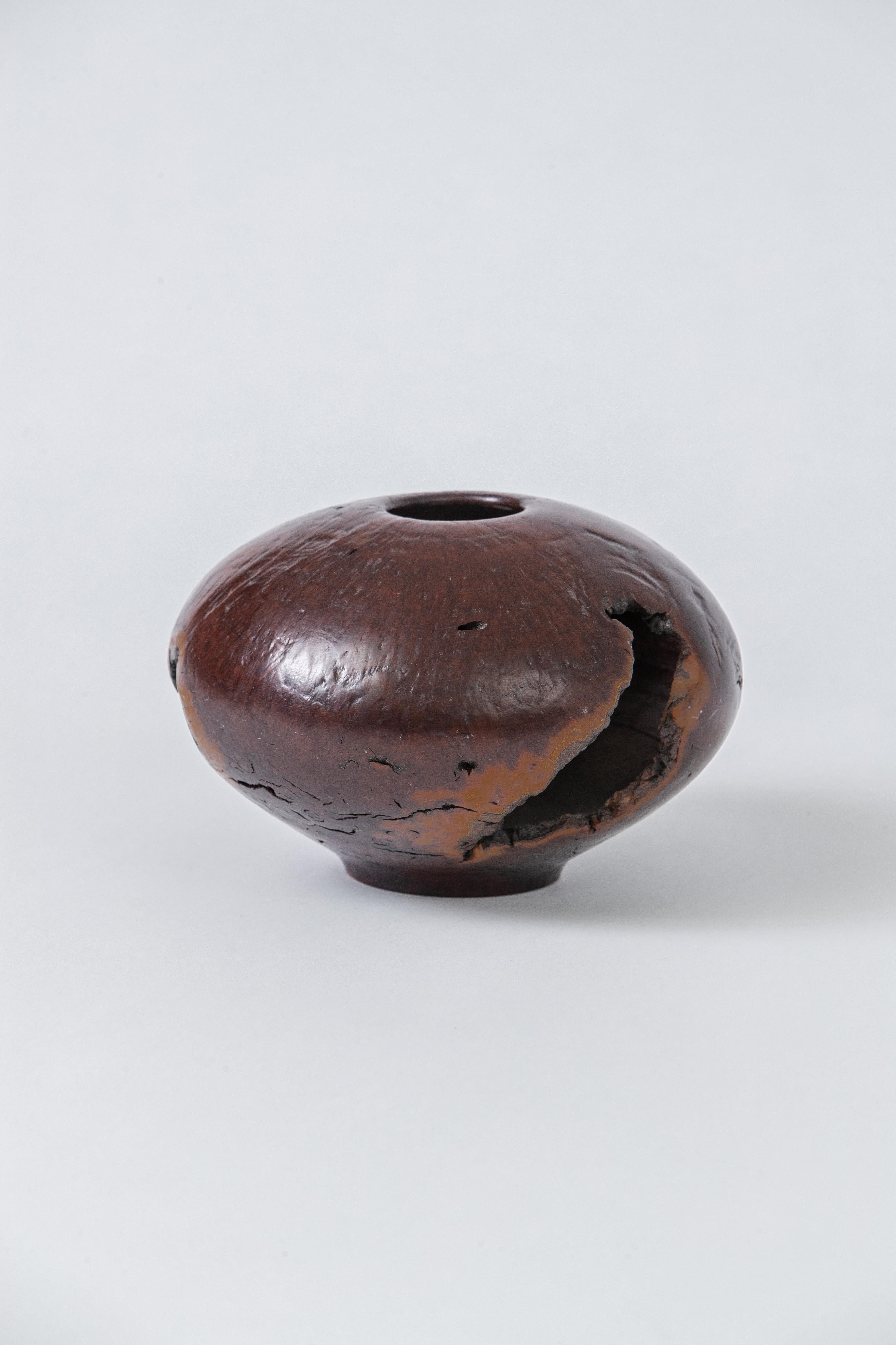 A vase in turned burl, the artist, used the material with its natural cavities to show the varied colors of the wood.
