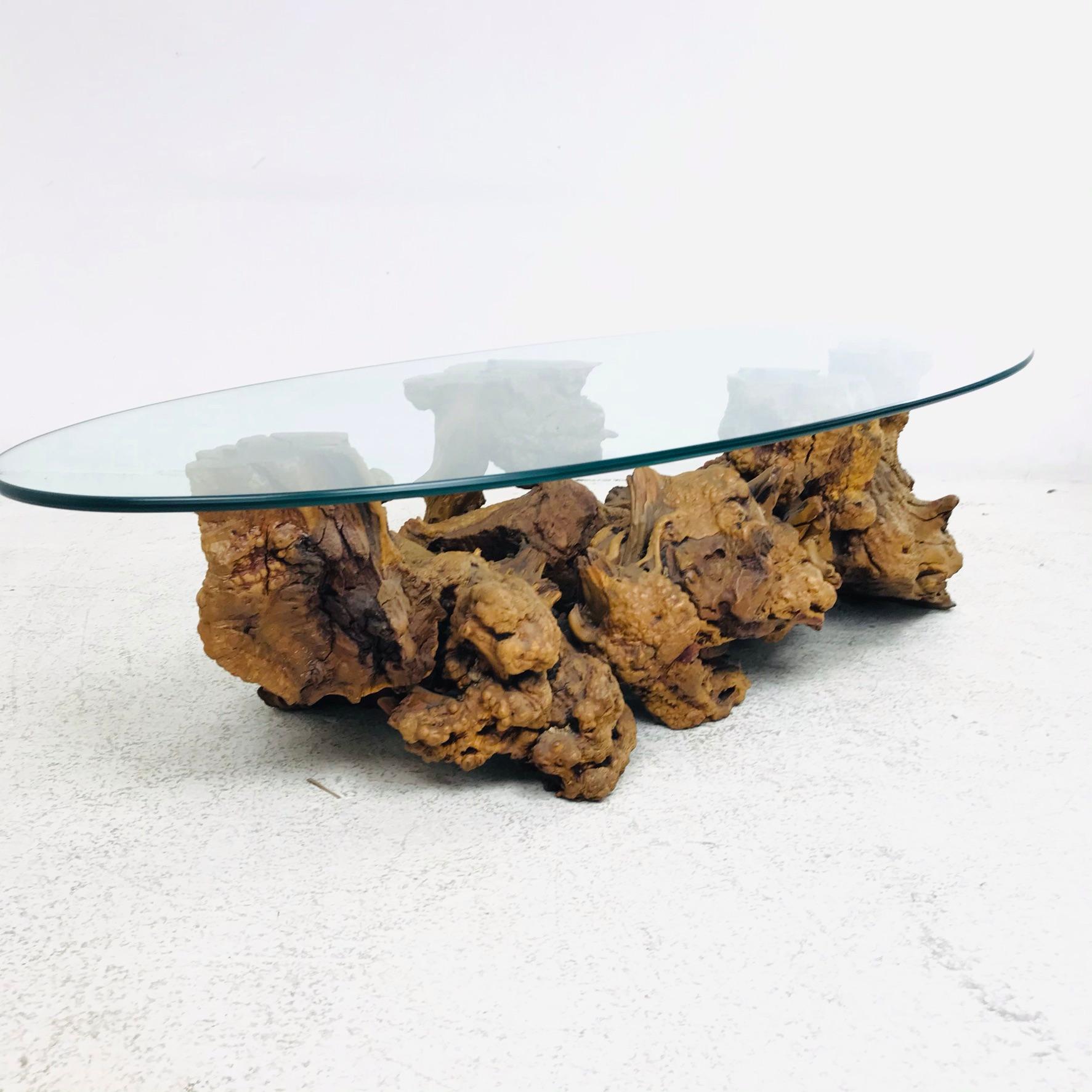 Organic Modern Burled Root Coffee Table with Glass Top