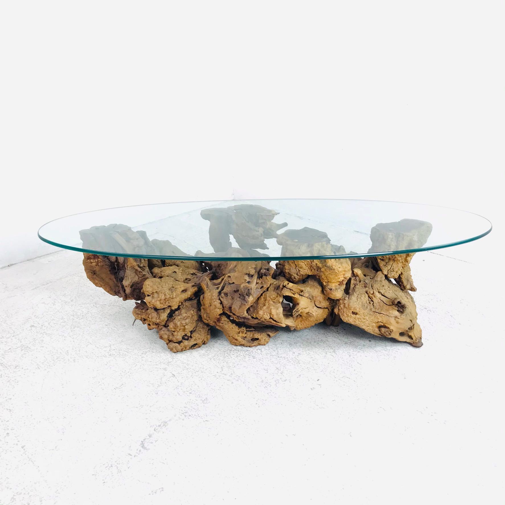 American Burled Root Coffee Table with Glass Top