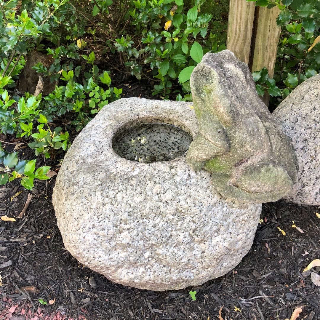 Burly Old Japanese Stone Frog Brings Joy to Your Heart, Garden and Soul 4