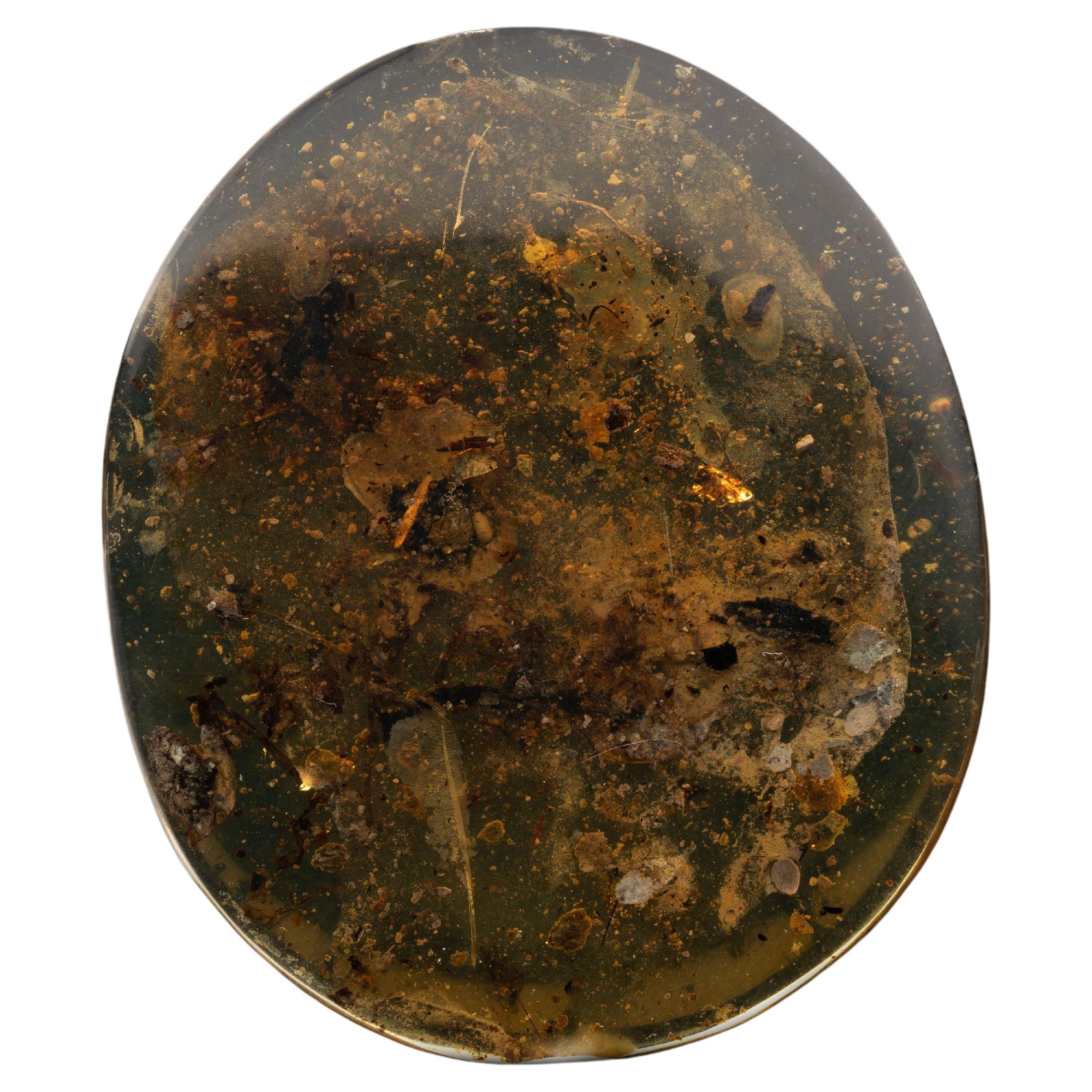 Burmese Amber With Snail Shell For Sale
