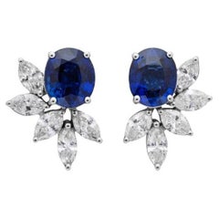 Boucles d'oreilles en saphir birman sans chaleur