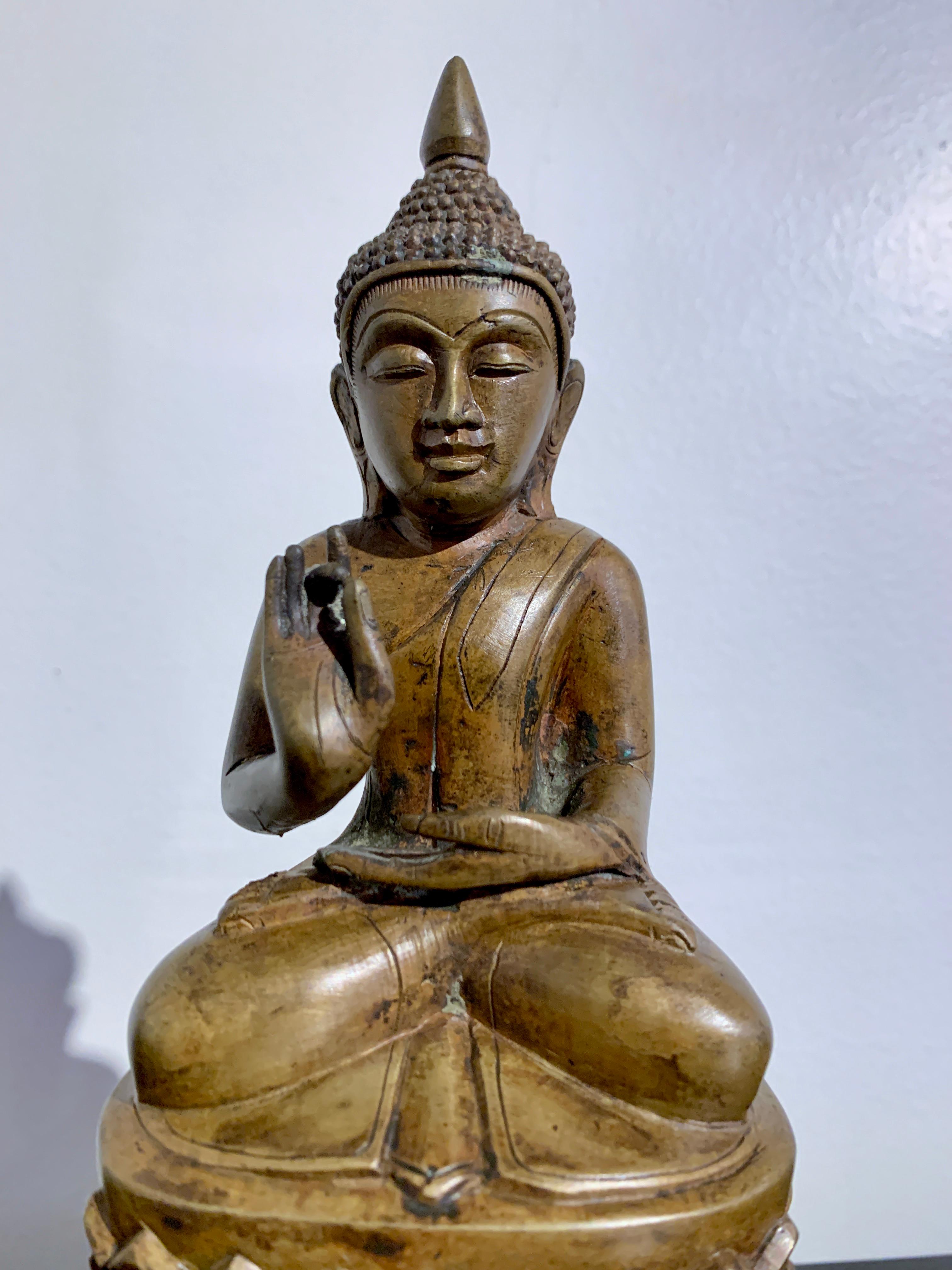 Buddha birmano in bronzo fuso in stile Shan Ava, XIX/XX secolo, Birmania in vendita 2