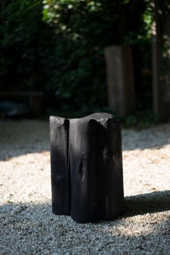 Burned Chunk by Jesse Sanderson