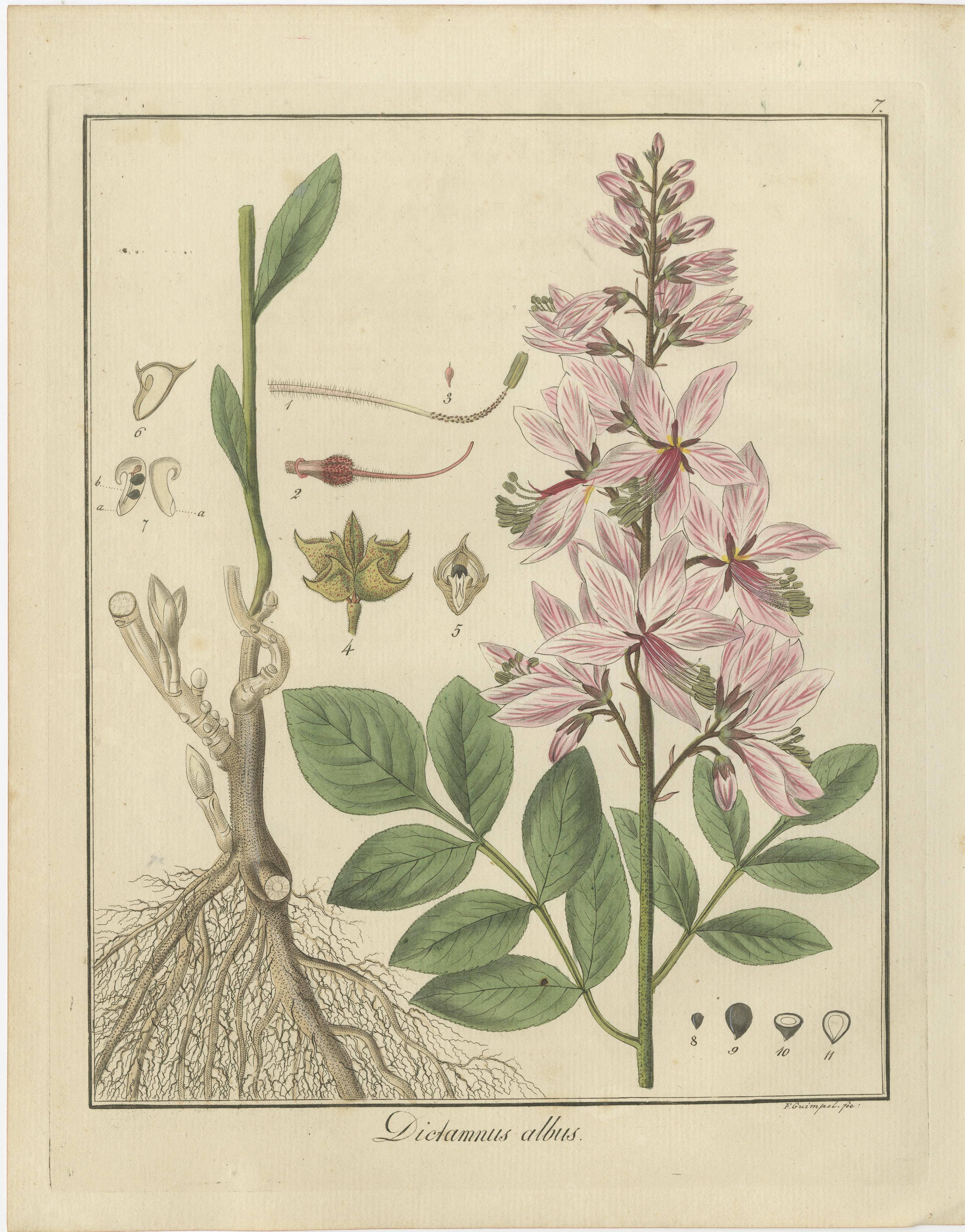 These illustrations were published in the 1819 sixth edition of 