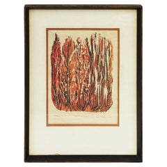 Used Burning Bush by Paul Nelson, 12/65