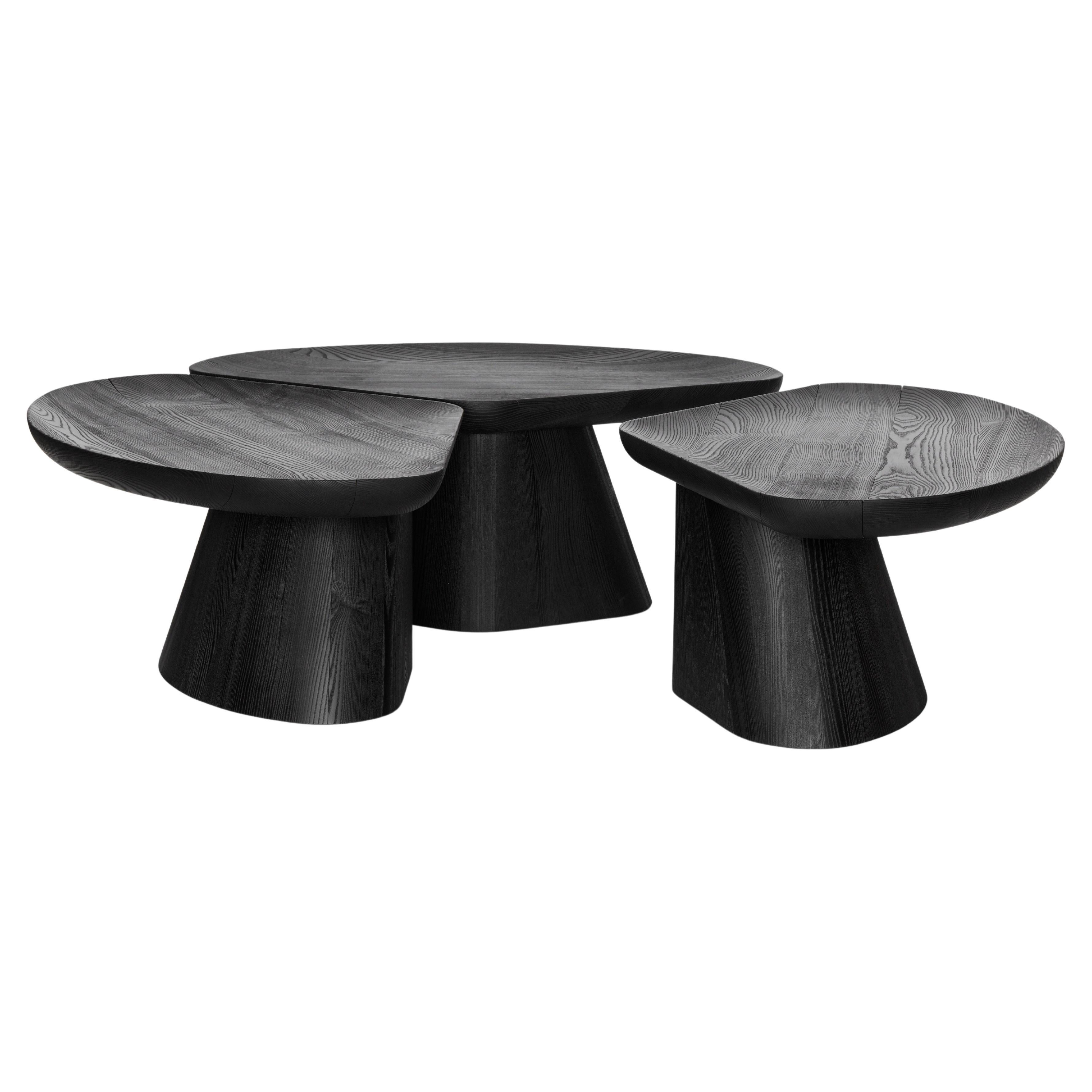 Burnt Ash Coffee Table Ki Collection by Victoria Magniant For Sale